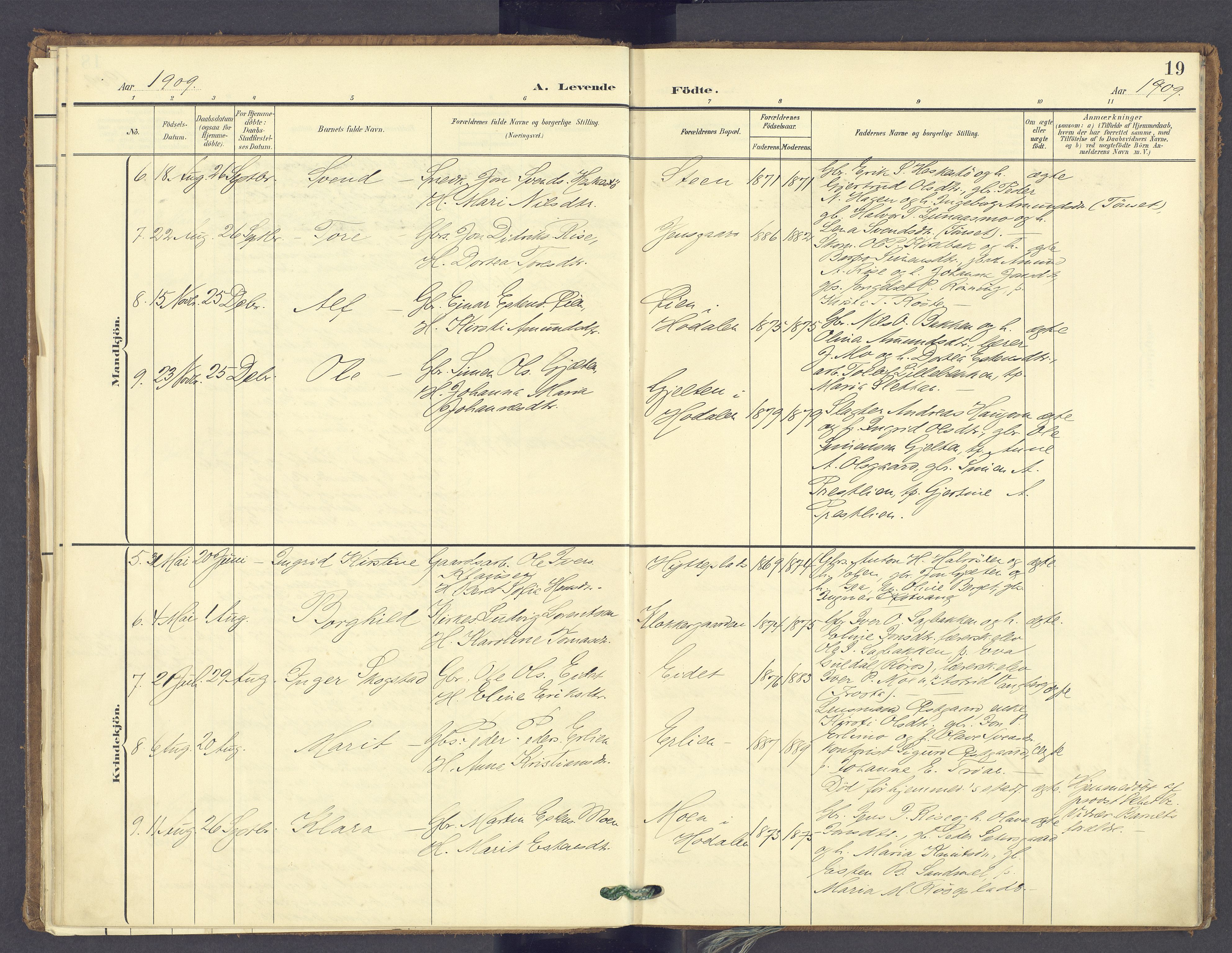 Tolga prestekontor, AV/SAH-PREST-062/K/L0014: Parish register (official) no. 14, 1903-1929, p. 19