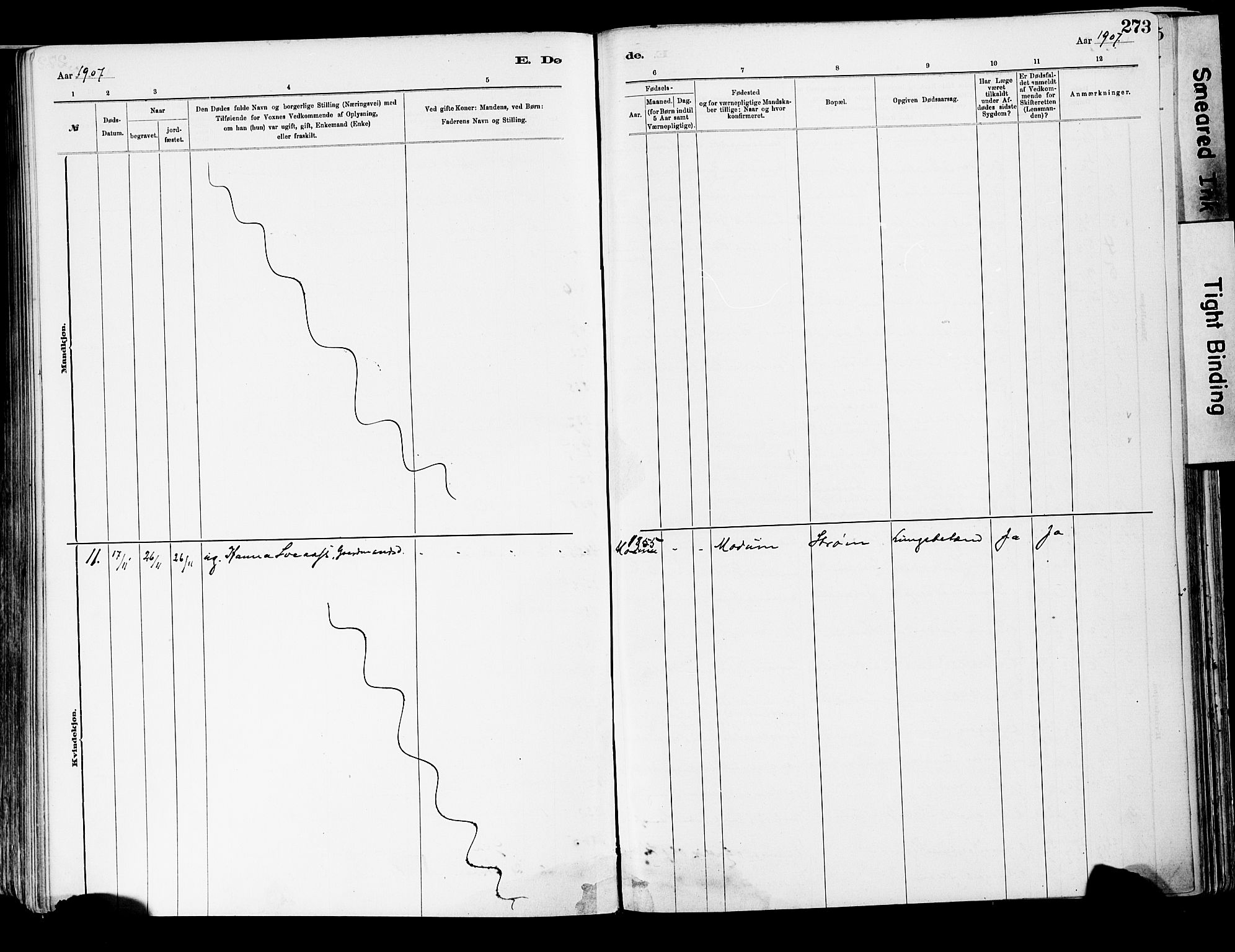 Strømsgodset kirkebøker, AV/SAKO-A-324/F/Fa/L0001: Parish register (official) no. 1, 1885-1909, p. 273