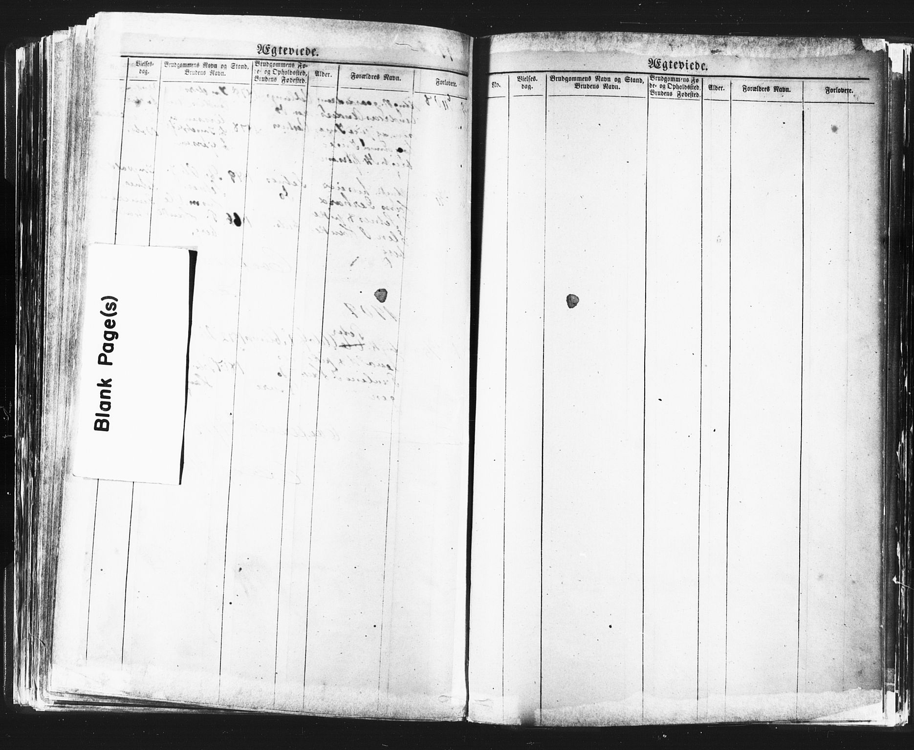 Ministerialprotokoller, klokkerbøker og fødselsregistre - Møre og Romsdal, AV/SAT-A-1454/544/L0580: Parish register (copy) no. 544C02, 1867-1909, p. 213