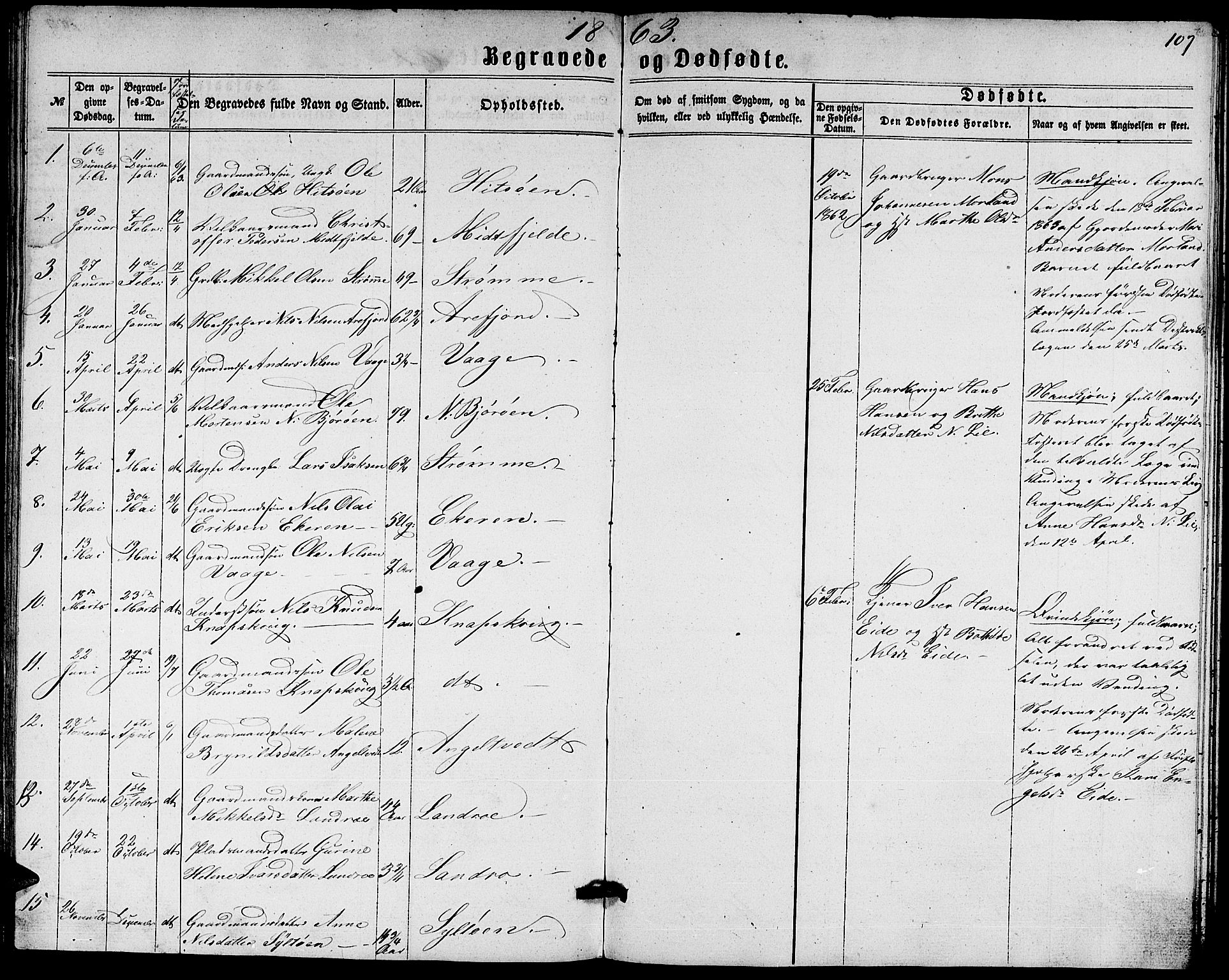 Fjell sokneprestembete, SAB/A-75301/H/Hab: Parish register (copy) no. A 1, 1861-1870, p. 107