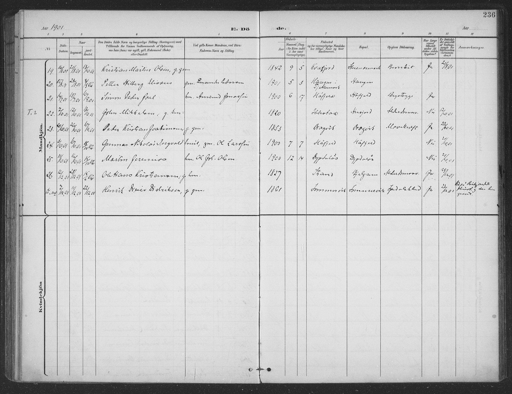 Ministerialprotokoller, klokkerbøker og fødselsregistre - Nordland, SAT/A-1459/863/L0899: Parish register (official) no. 863A11, 1897-1906, p. 236