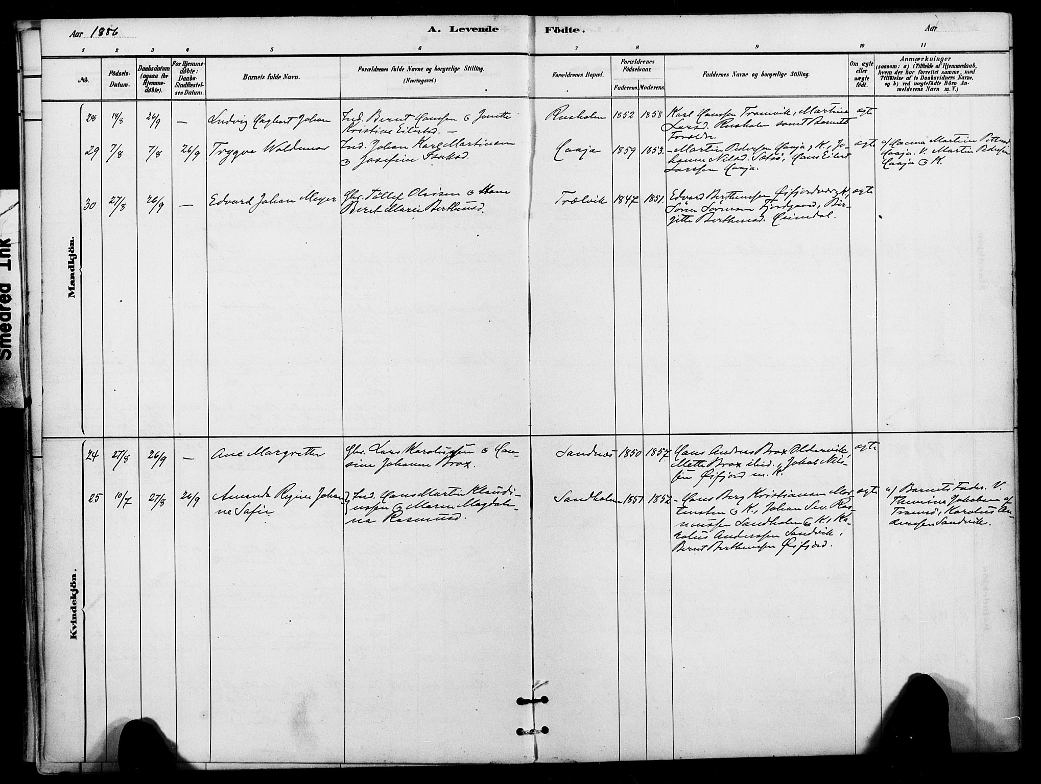 Lenvik sokneprestembete, AV/SATØ-S-1310/H/Ha/Haa/L0012kirke: Parish register (official) no. 12, 1880-1895