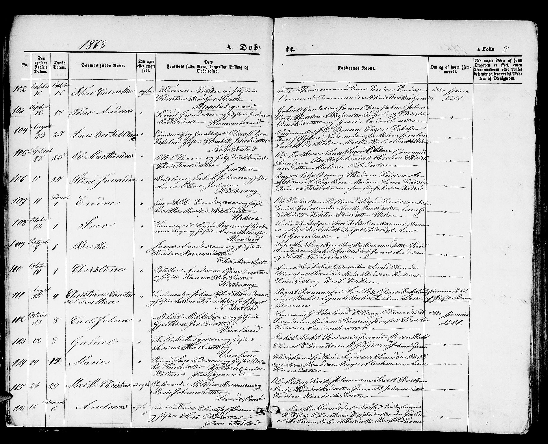 Hetland sokneprestkontor, SAST/A-101826/30/30BB/L0003: Parish register (copy) no. B 3, 1863-1877, p. 8