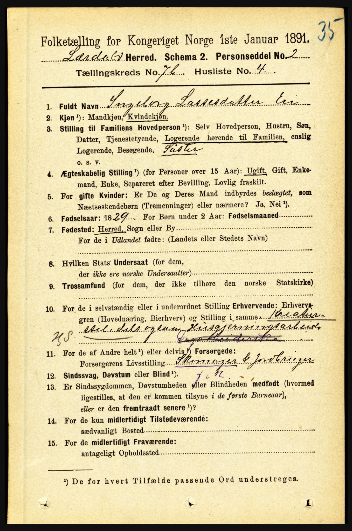 RA, 1891 census for 1422 Lærdal, 1891, p. 1156