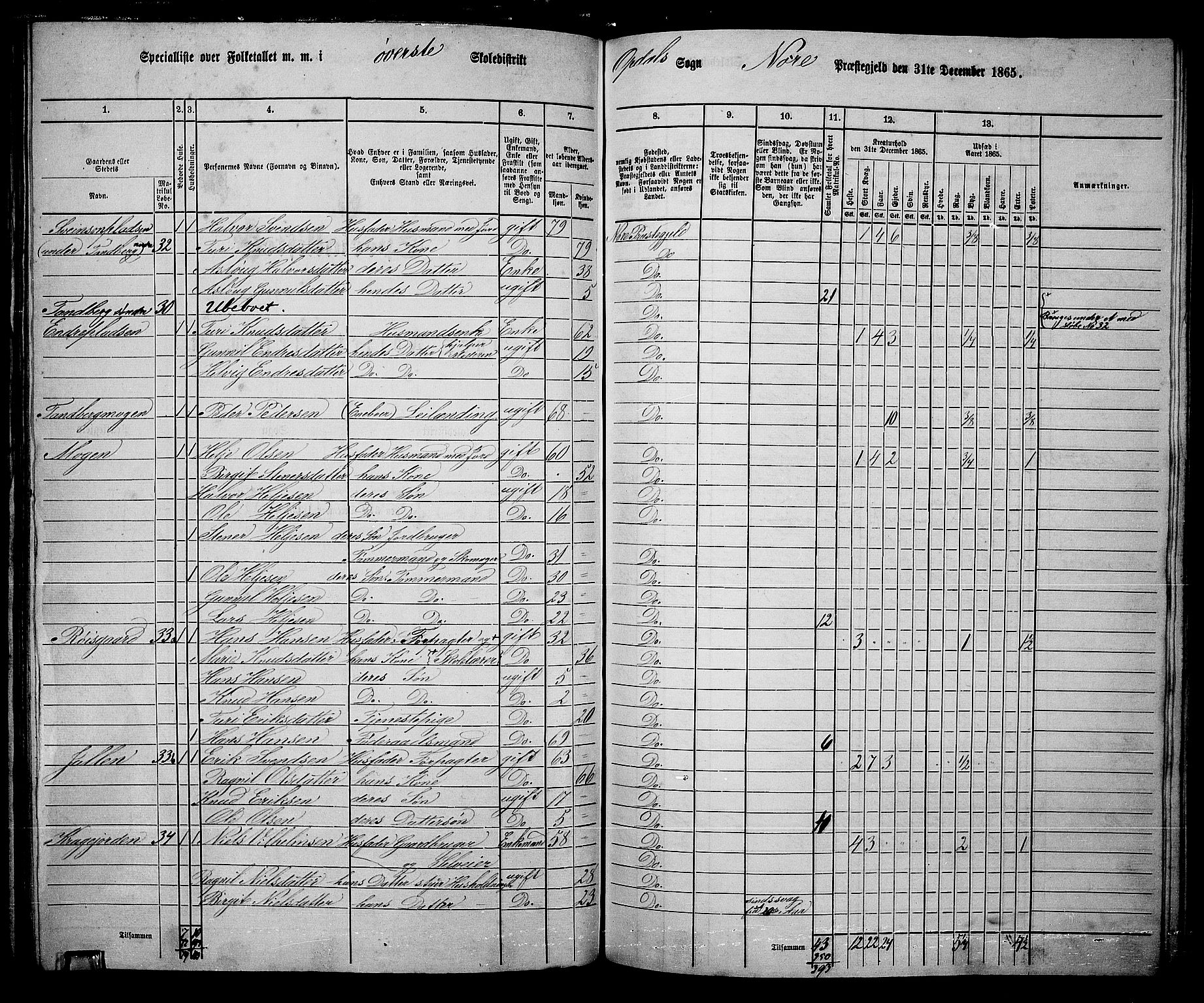 RA, 1865 census for Nore, 1865, p. 134