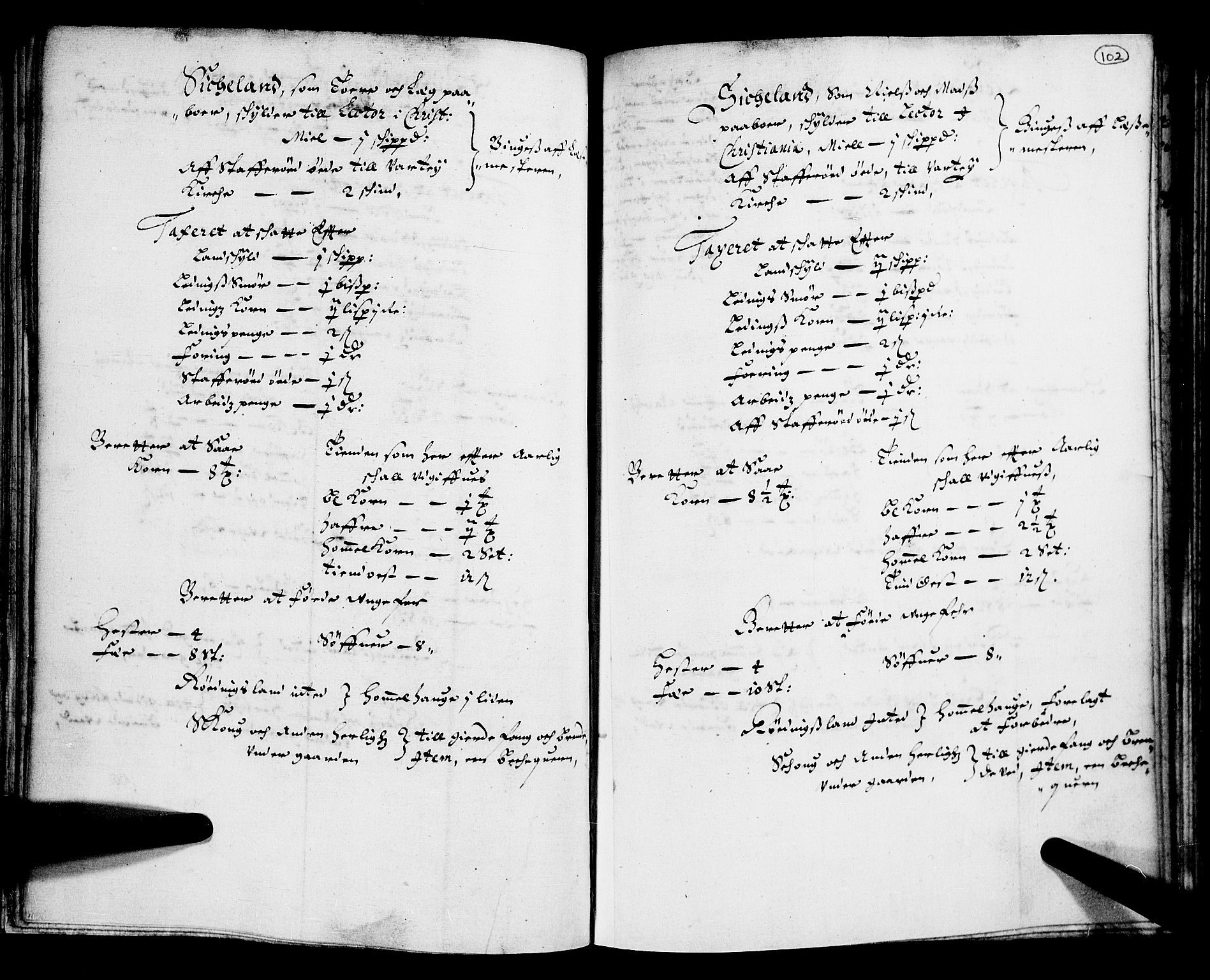 Rentekammeret inntil 1814, Realistisk ordnet avdeling, AV/RA-EA-4070/N/Nb/Nba/L0004: Tune, Veme, Åbygge og Hvaler, 1. del, 1667, p. 101b-102a