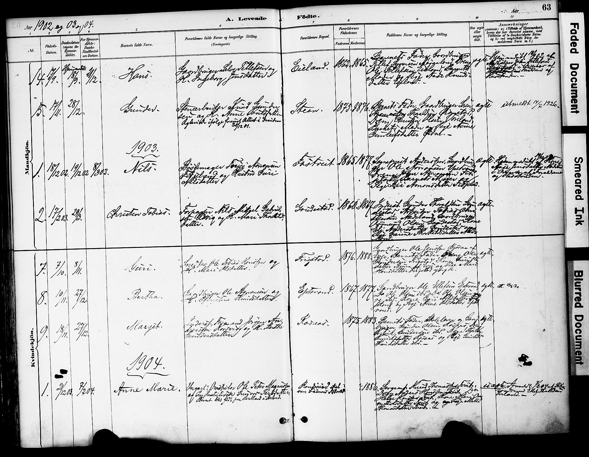 Evje sokneprestkontor, AV/SAK-1111-0008/F/Fa/Fac/L0003: Parish register (official) no. A 3, 1884-1909, p. 63