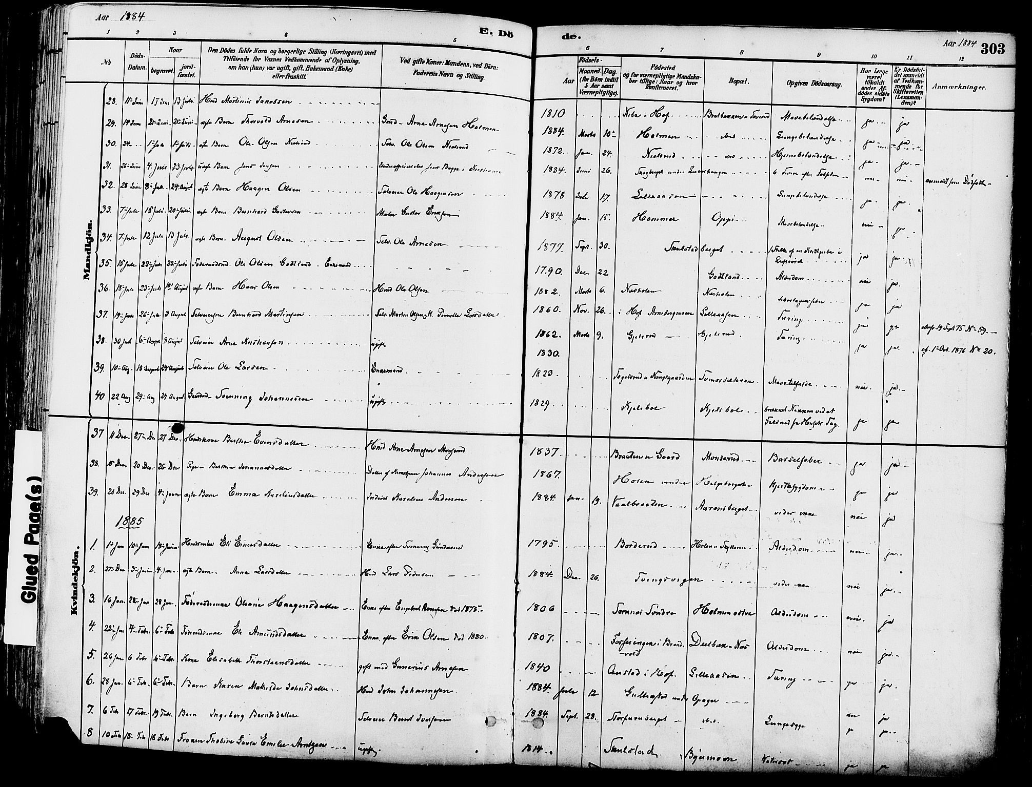 Grue prestekontor, SAH/PREST-036/H/Ha/Haa/L0012: Parish register (official) no. 12, 1881-1897, p. 303