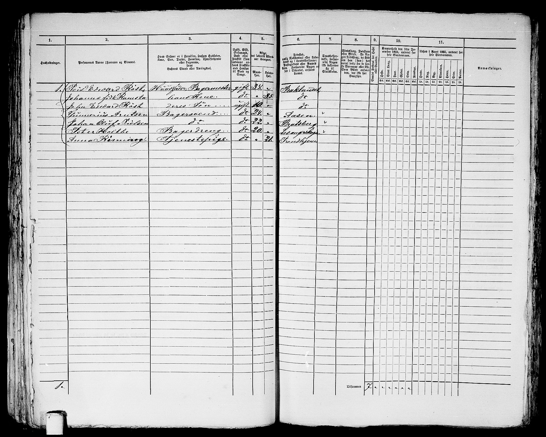 RA, 1865 census for Trondheim, 1865, p. 1201