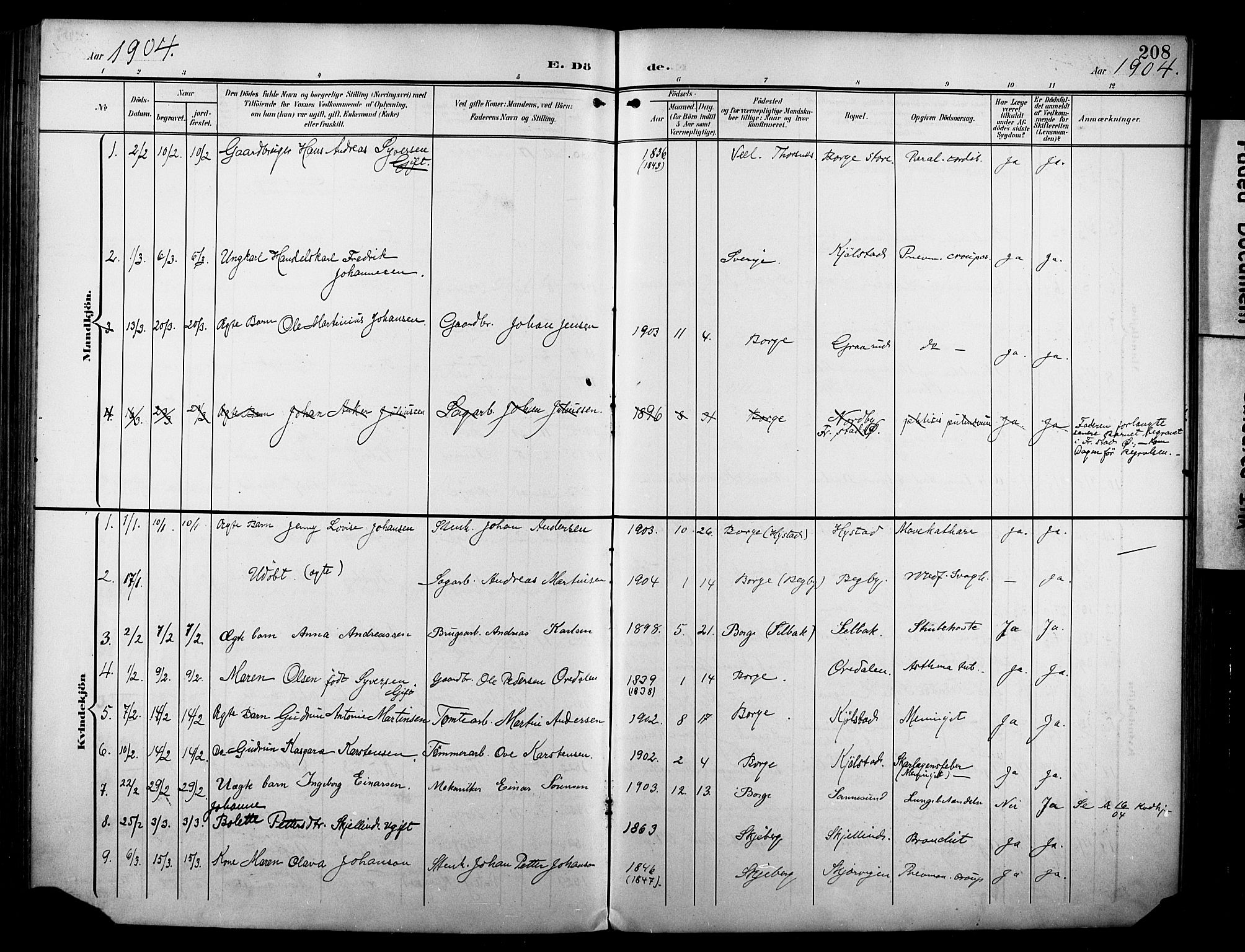 Borge prestekontor Kirkebøker, AV/SAO-A-10903/F/Fa/L0009: Parish register (official) no. I 9, 1902-1911, p. 208