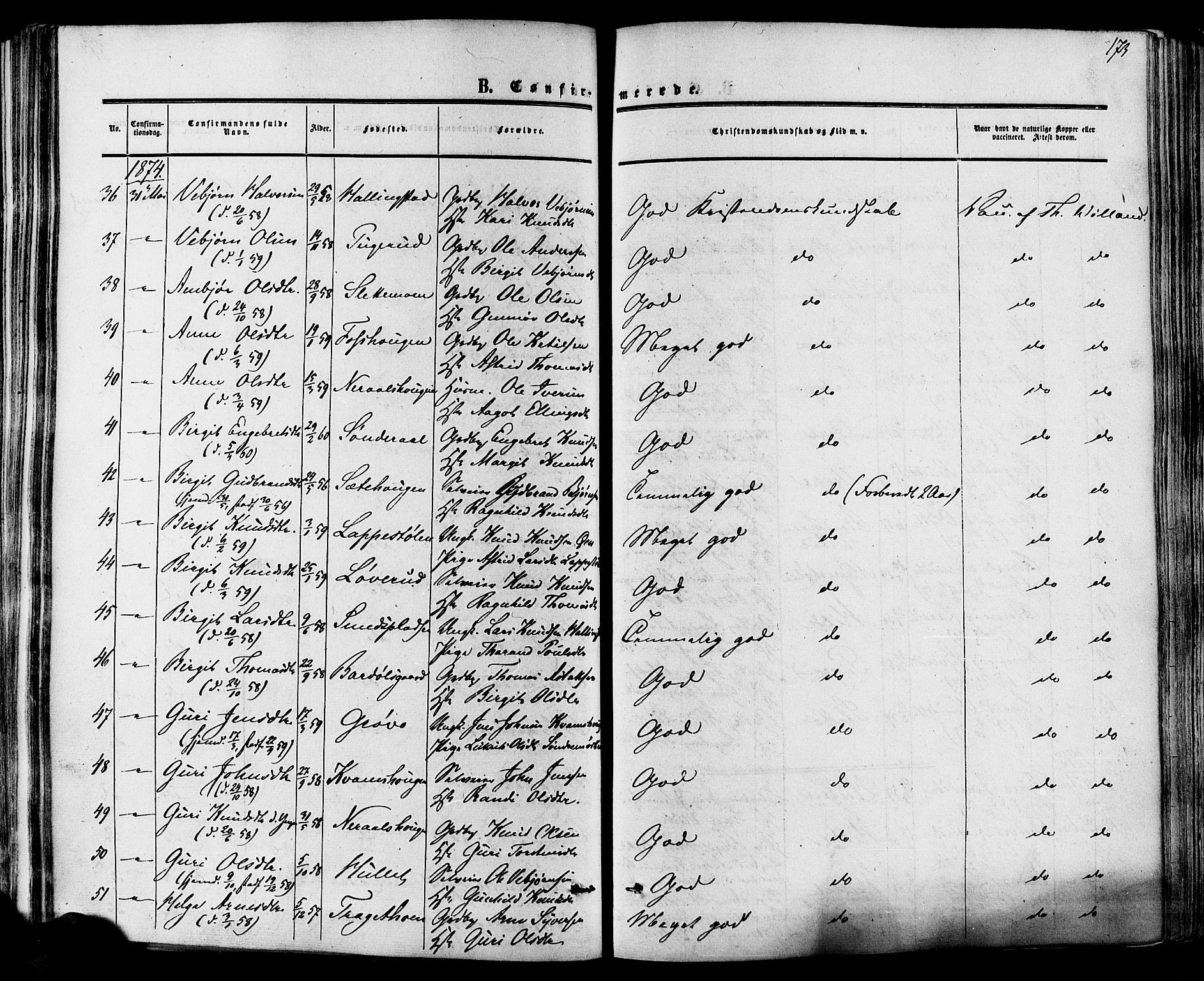 Hol kirkebøker, SAKO/A-227/F/Fa/L0002: Parish register (official) no. I 2, 1870-1886, p. 173
