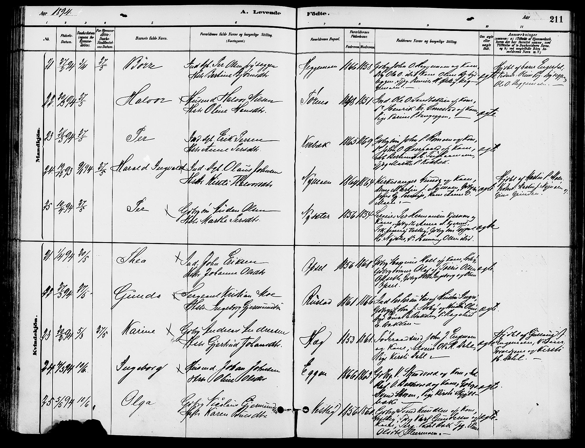 Trysil prestekontor, AV/SAH-PREST-046/H/Ha/Haa/L0008: Parish register (official) no. 8, 1881-1897, p. 211