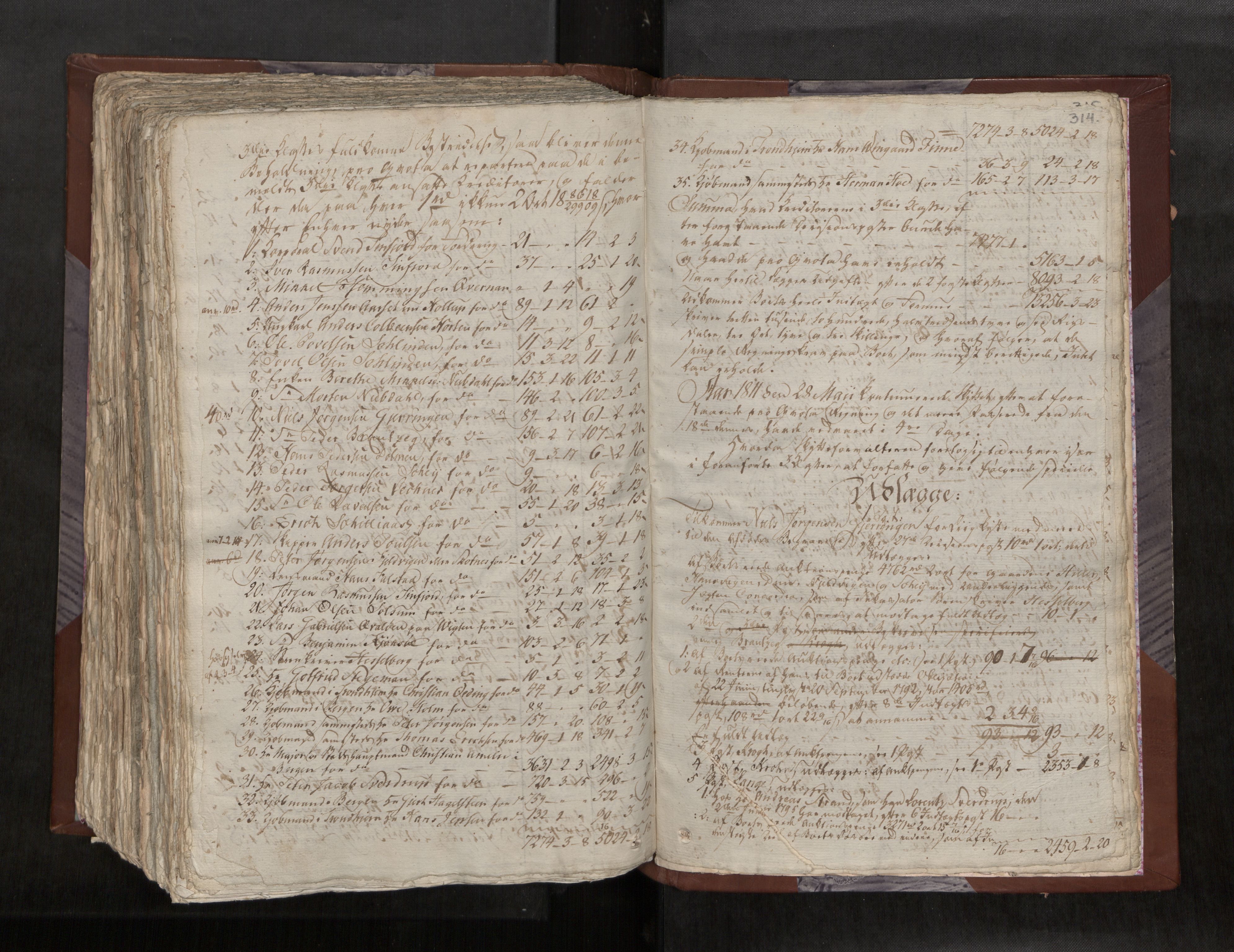 Namdal sorenskriveri, AV/SAT-A-4133/1/3/3A/L0034: Skifteprotokoll nr. 24, 1810-1813, p. 314