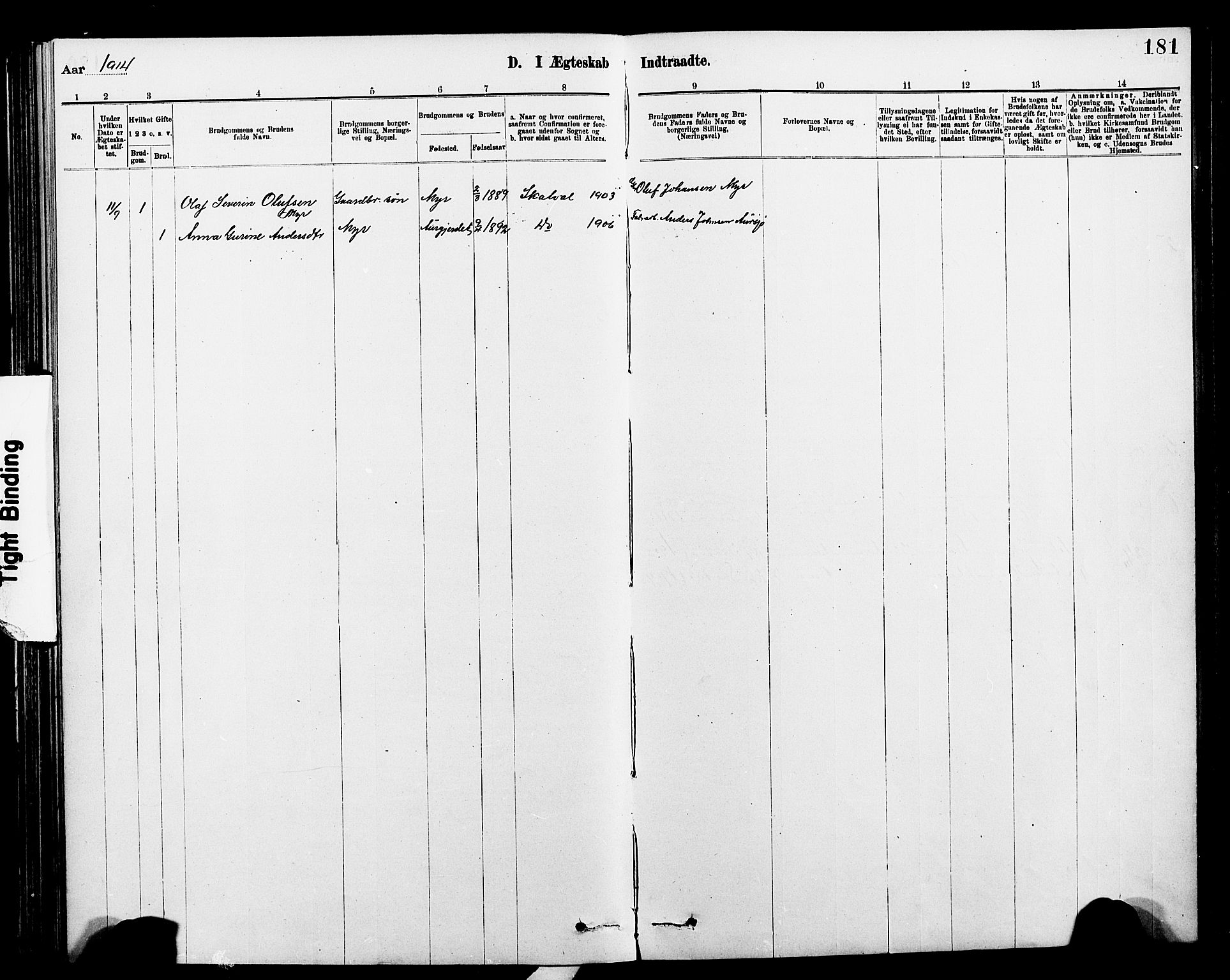 Ministerialprotokoller, klokkerbøker og fødselsregistre - Nord-Trøndelag, SAT/A-1458/712/L0103: Parish register (copy) no. 712C01, 1878-1917, p. 181