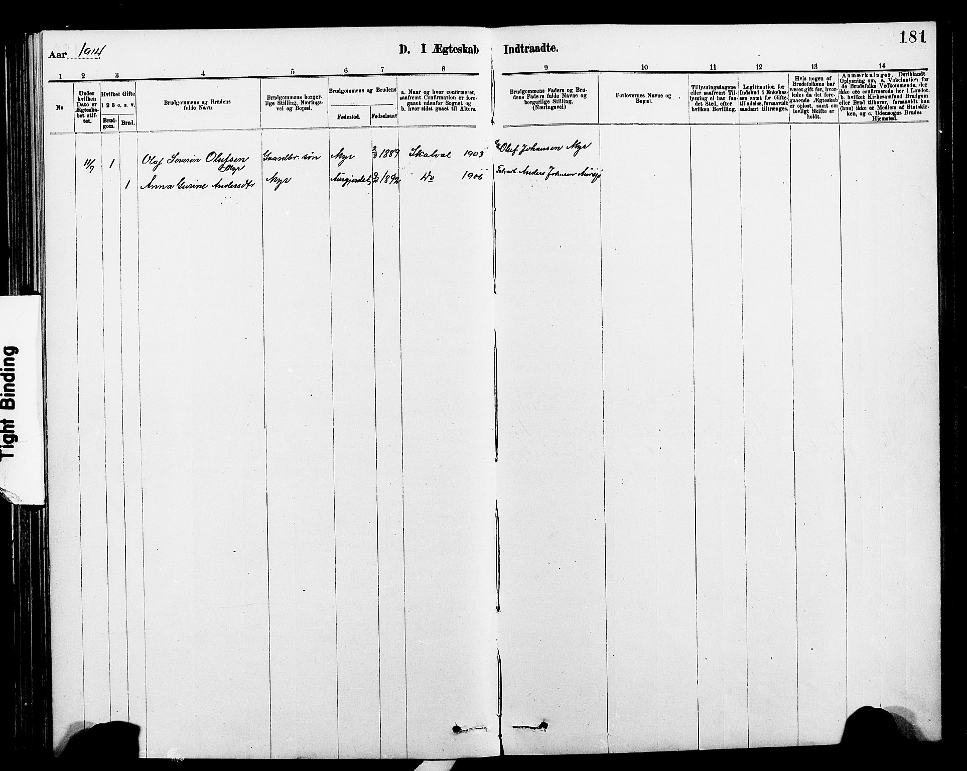 Ministerialprotokoller, klokkerbøker og fødselsregistre - Nord-Trøndelag, AV/SAT-A-1458/712/L0103: Parish register (copy) no. 712C01, 1878-1917, p. 181