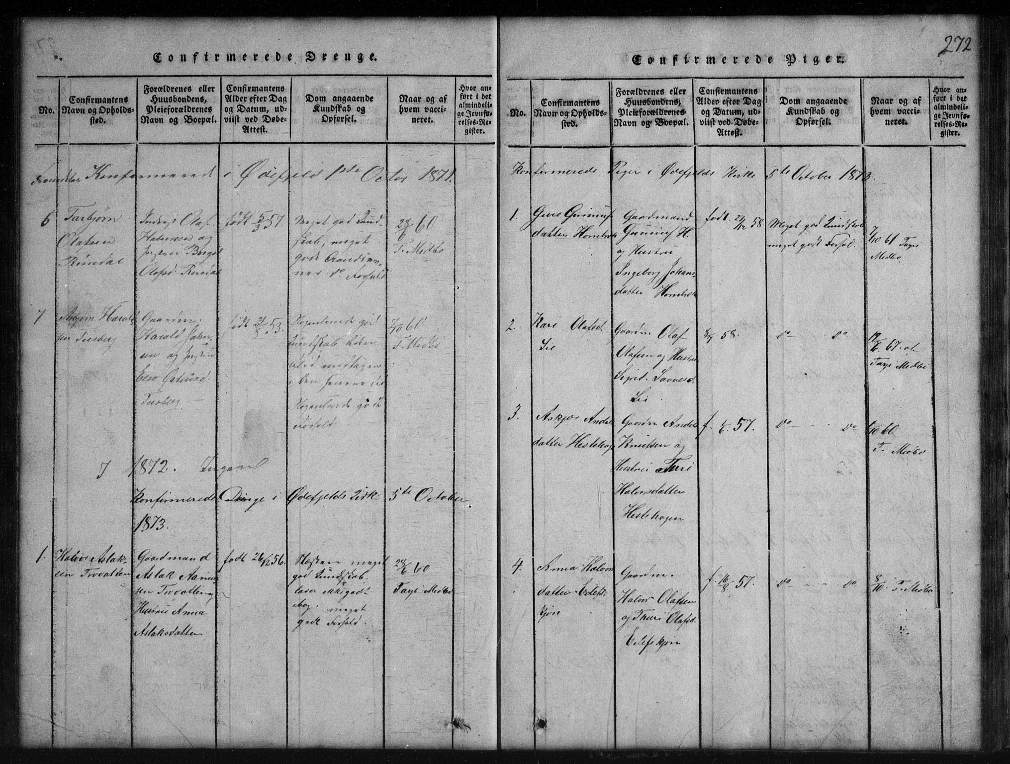 Rauland kirkebøker, SAKO/A-292/G/Gb/L0001: Parish register (copy) no. II 1, 1815-1886, p. 272