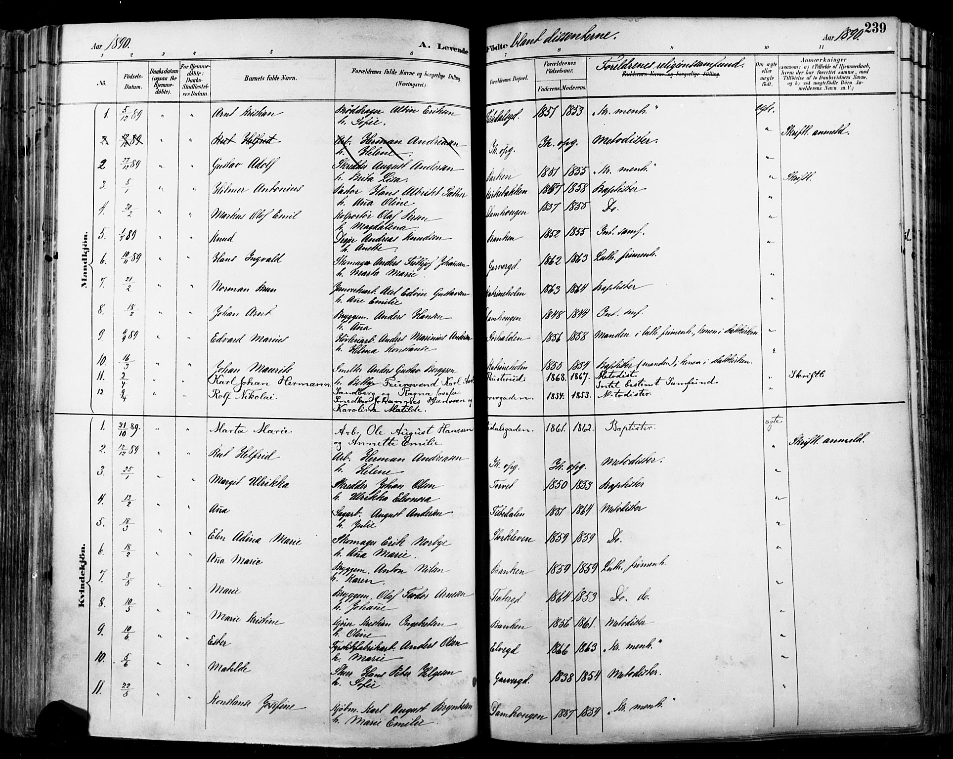 Halden prestekontor Kirkebøker, SAO/A-10909/F/Fa/L0013: Parish register (official) no. I 13, 1890-1906, p. 239