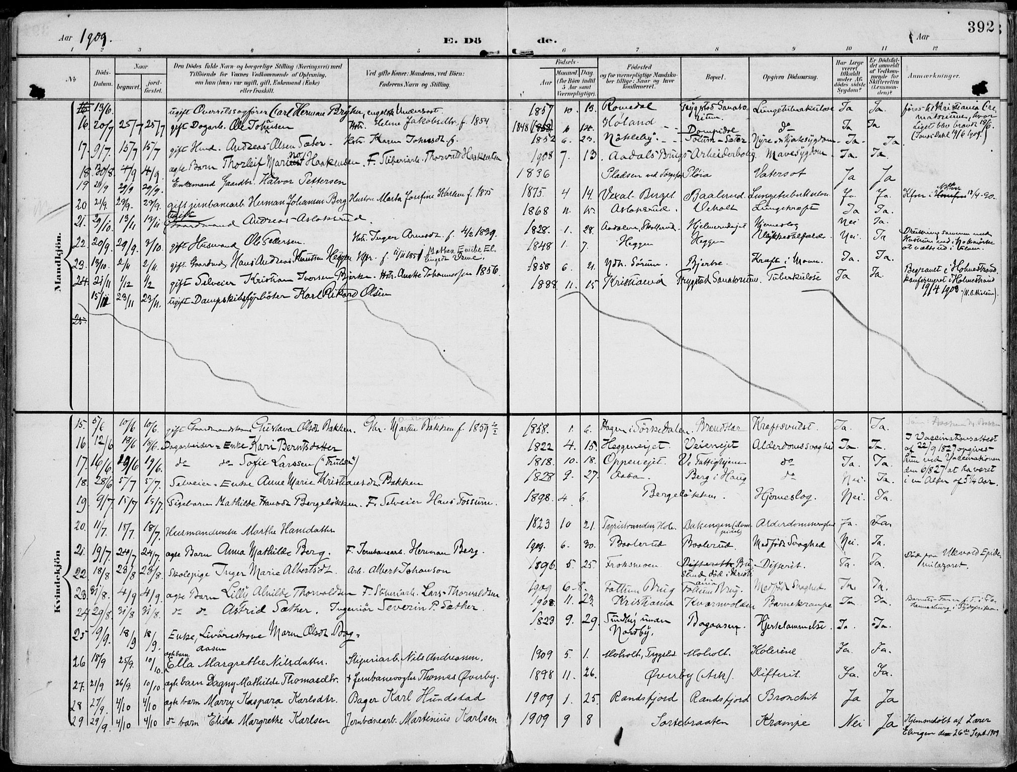 Norderhov kirkebøker, AV/SAKO-A-237/F/Fa/L0017: Parish register (official) no. 17, 1903-1919, p. 392