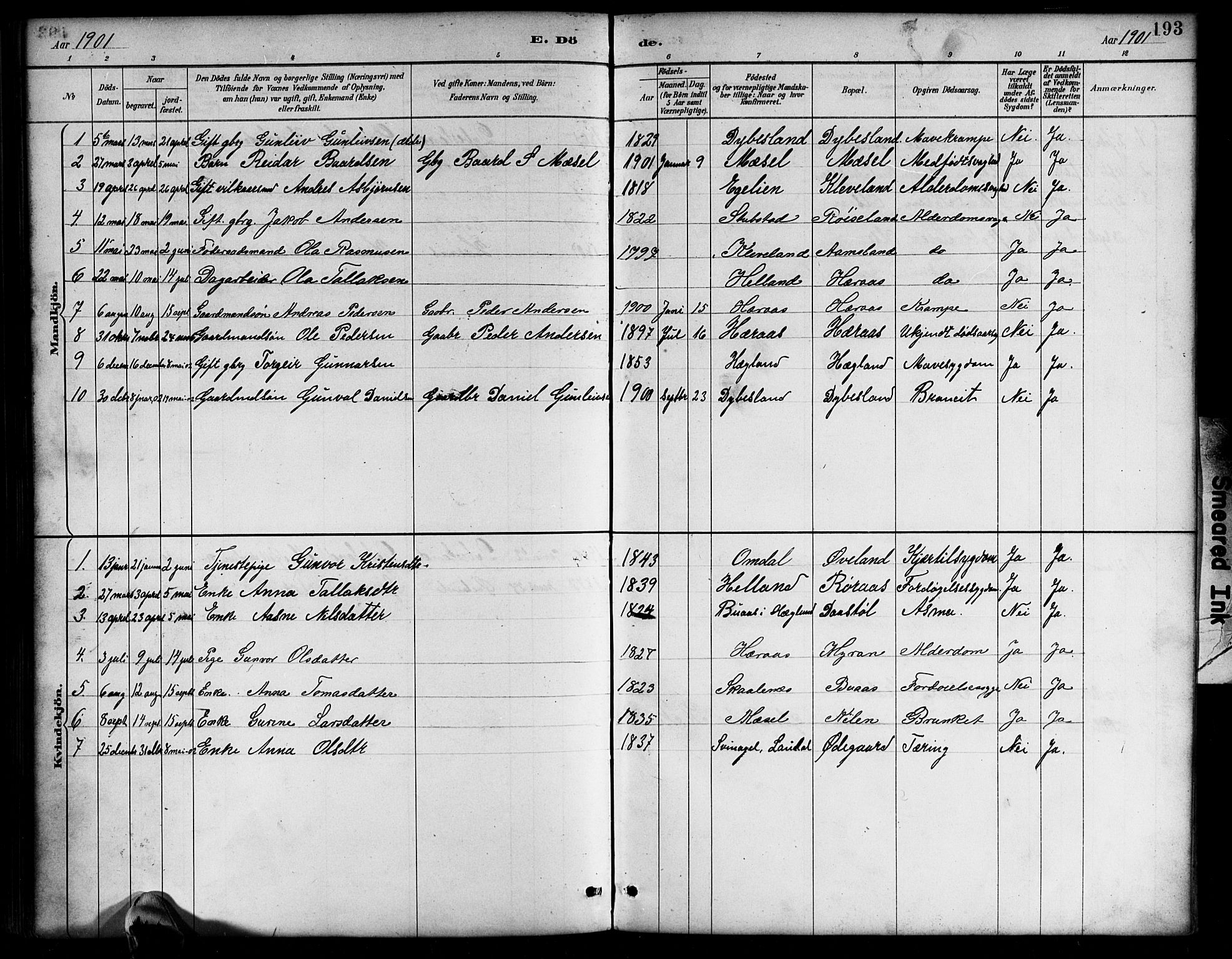 Bjelland sokneprestkontor, SAK/1111-0005/F/Fb/Fbb/L0005: Parish register (copy) no. B 5, 1887-1918, p. 193