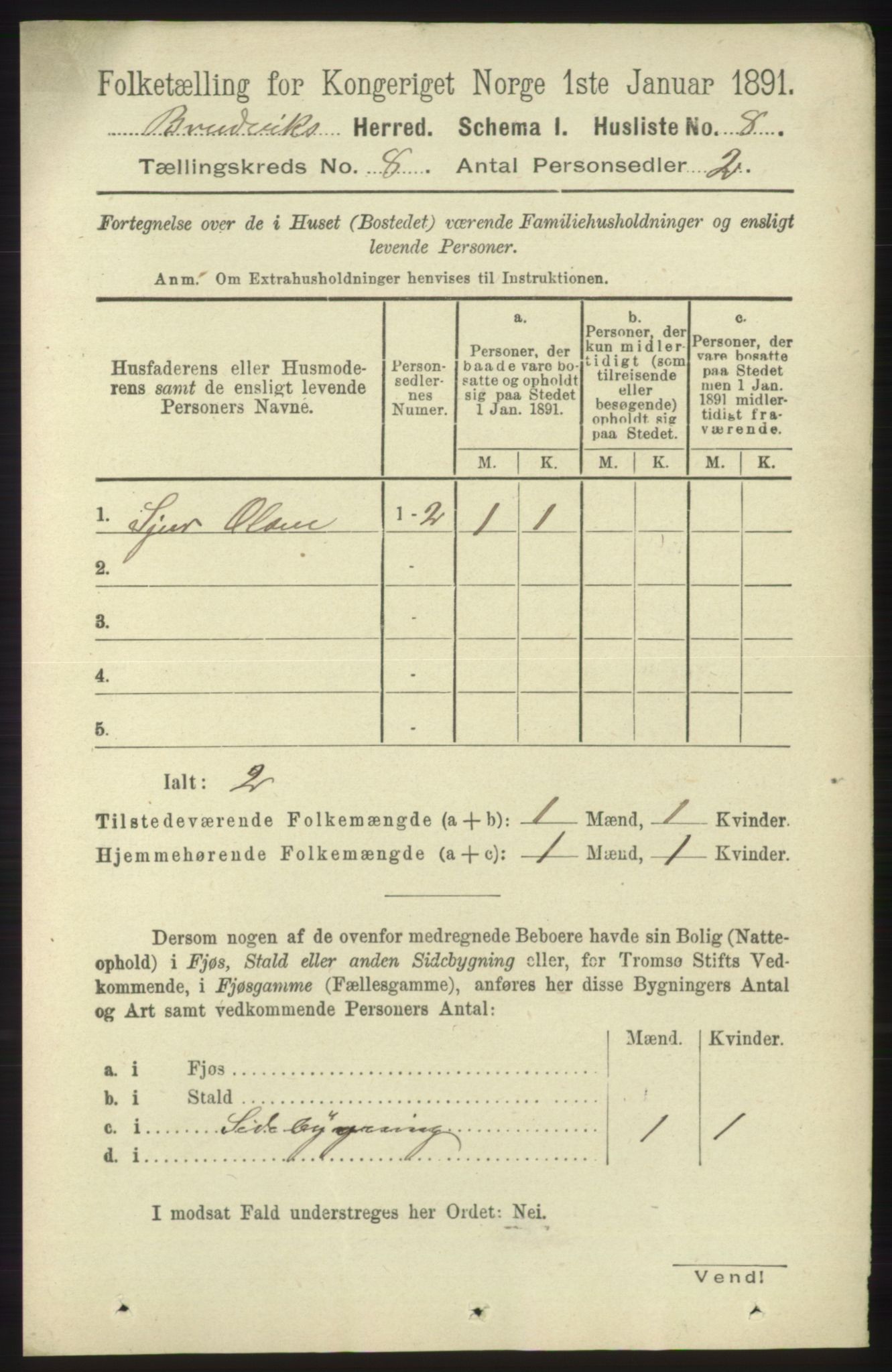 RA, 1891 census for 1251 Bruvik, 1891, p. 2868