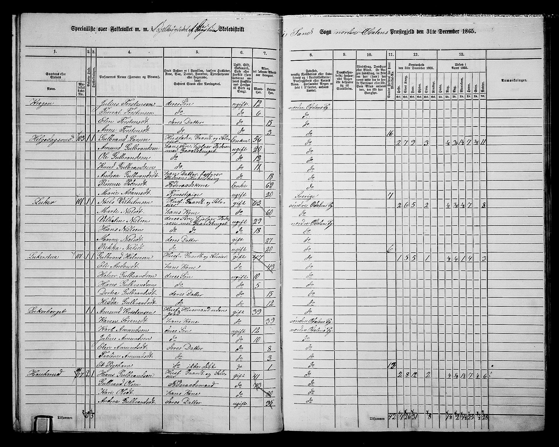 RA, 1865 census for Nord-Odal, 1865, p. 13