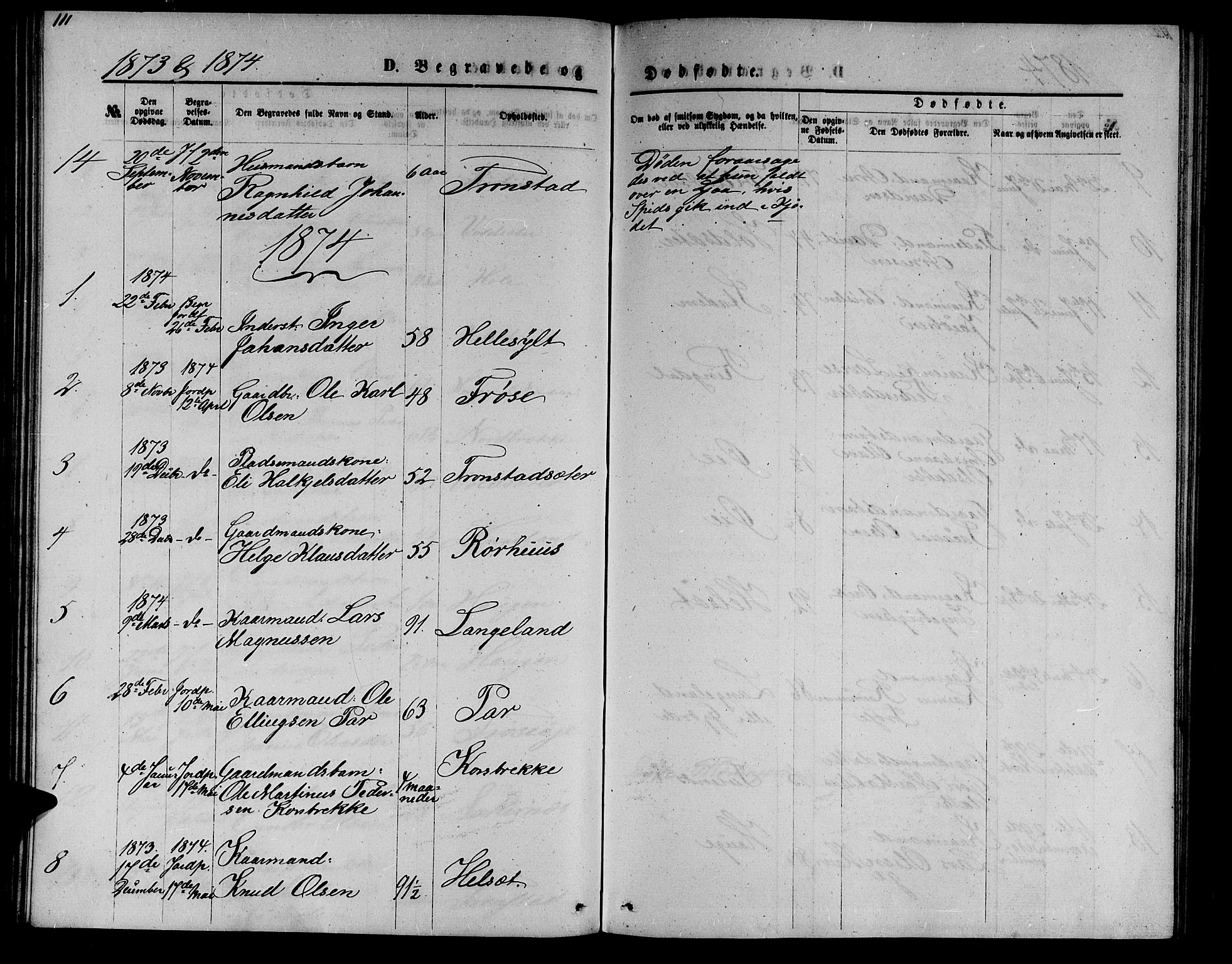 Ministerialprotokoller, klokkerbøker og fødselsregistre - Møre og Romsdal, SAT/A-1454/517/L0229: Parish register (copy) no. 517C02, 1864-1879, p. 111