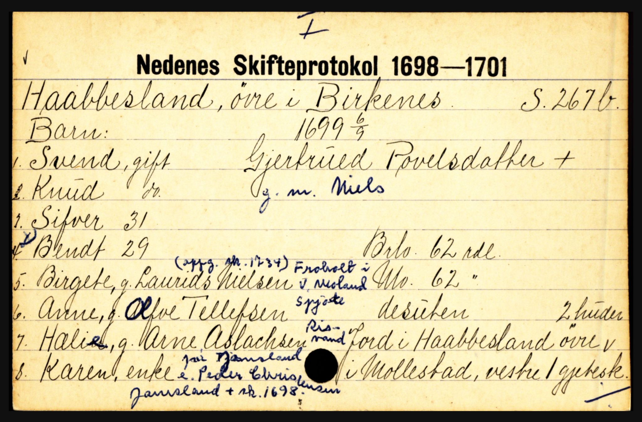 Nedenes sorenskriveri før 1824, AV/SAK-1221-0007/H, p. 13699