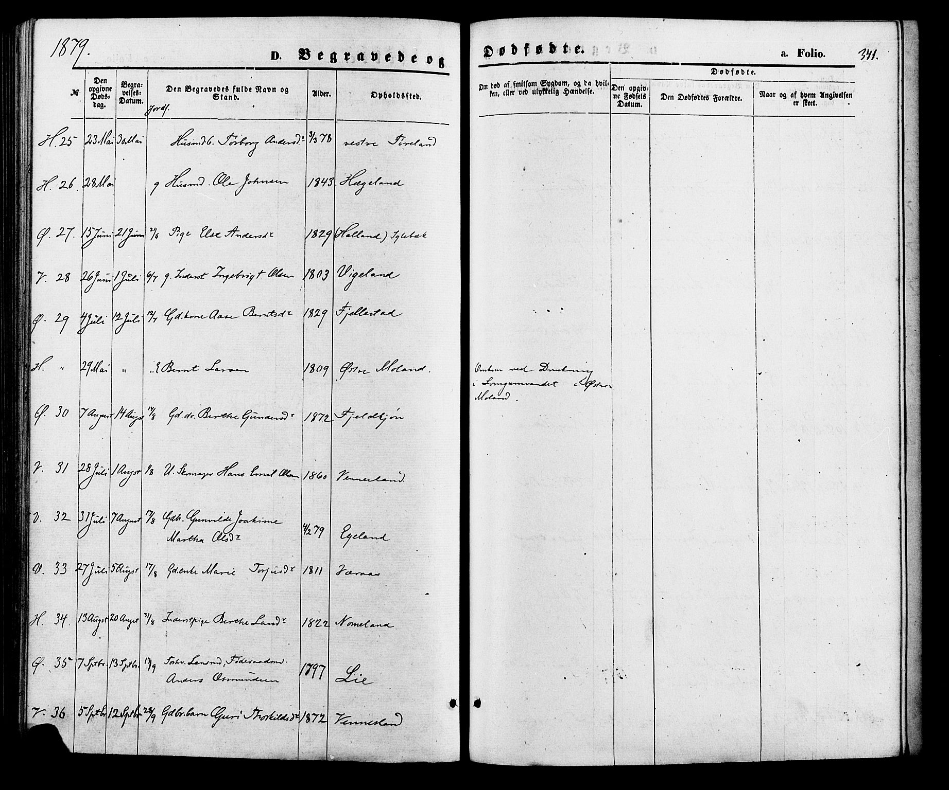 Vennesla sokneprestkontor, AV/SAK-1111-0045/Fa/Fac/L0008: Parish register (official) no. A 8, 1874-1883, p. 341