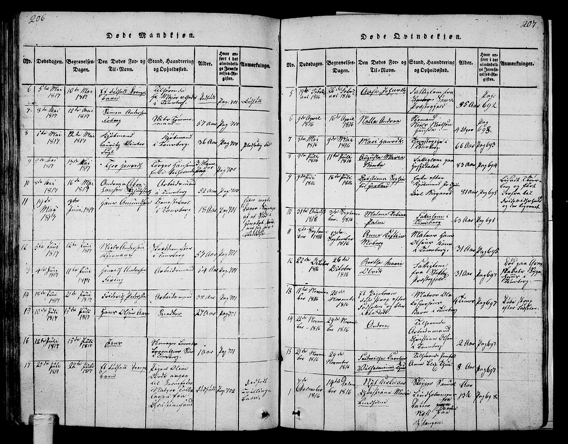 Tønsberg kirkebøker, SAKO/A-330/G/Ga/L0001: Parish register (copy) no. 1, 1813-1826, p. 206-207