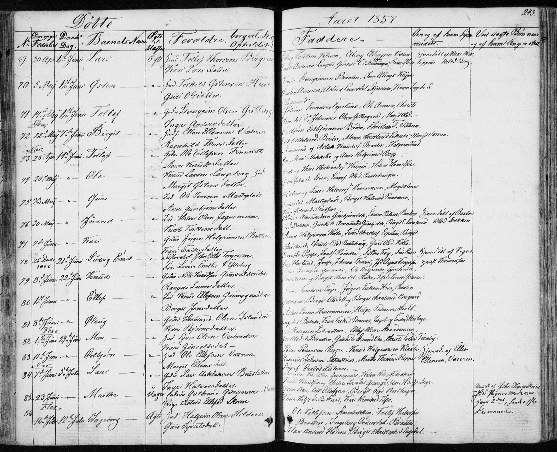 Nes kirkebøker, AV/SAKO-A-236/F/Fa/L0009: Parish register (official) no. 9, 1834-1863, p. 243