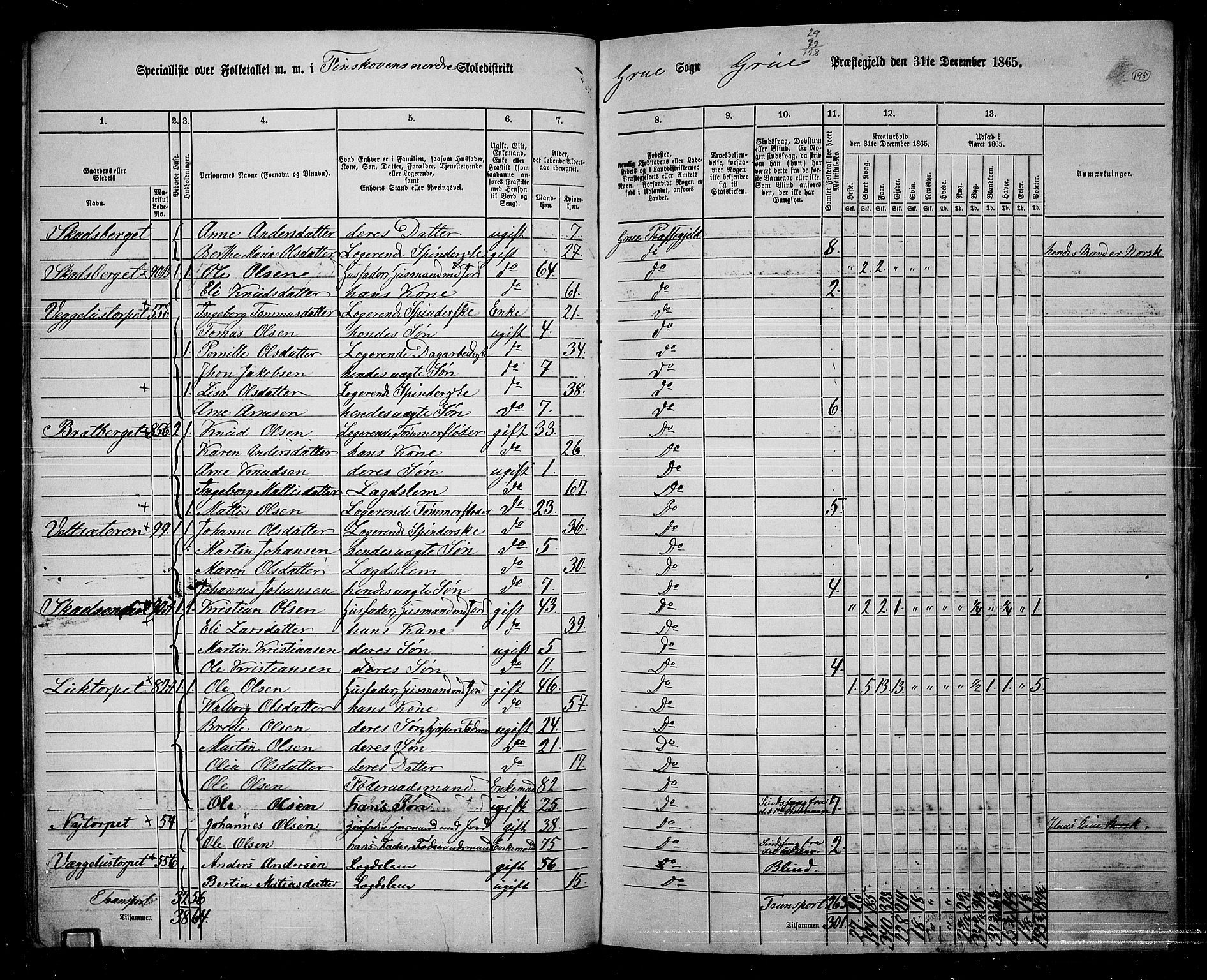 RA, 1865 census for Grue, 1865, p. 171