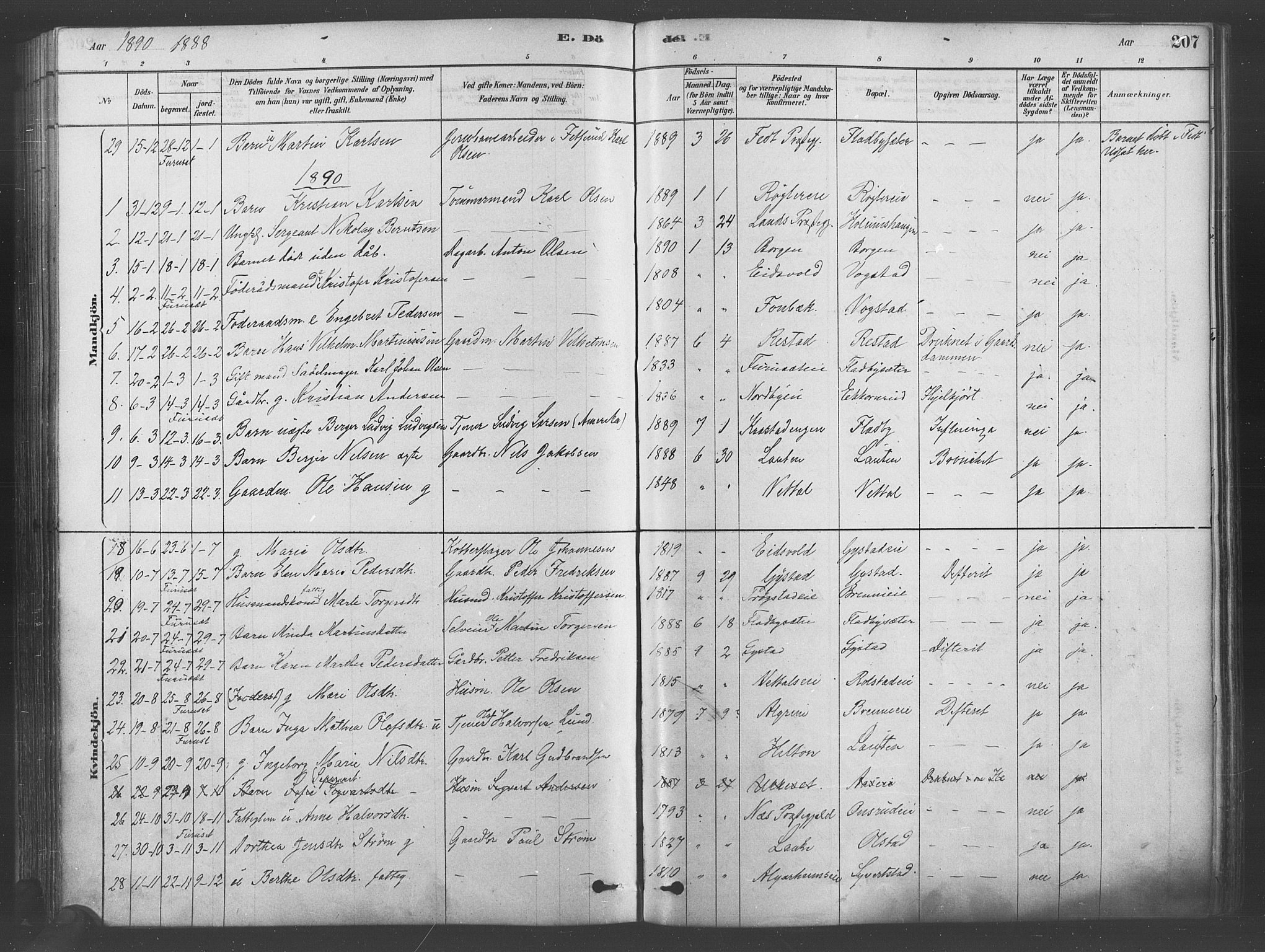 Ullensaker prestekontor Kirkebøker, SAO/A-10236a/F/Fa/L0019: Parish register (official) no. I 19, 1878-1891, p. 207
