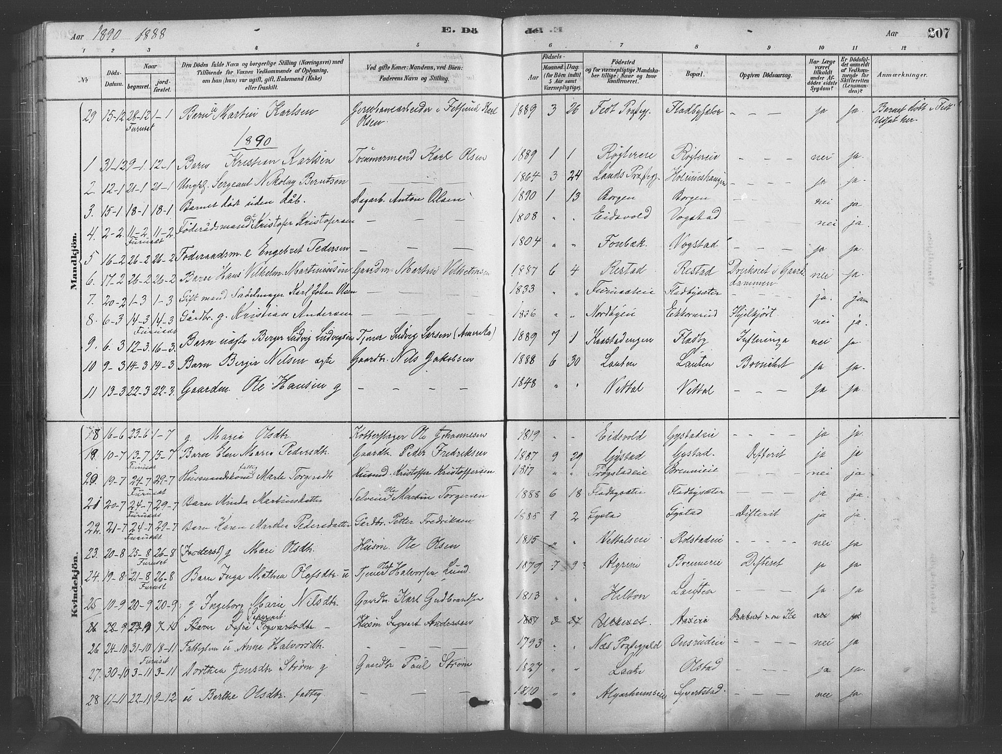 Ullensaker prestekontor Kirkebøker, AV/SAO-A-10236a/F/Fa/L0019: Parish register (official) no. I 19, 1878-1891, p. 207