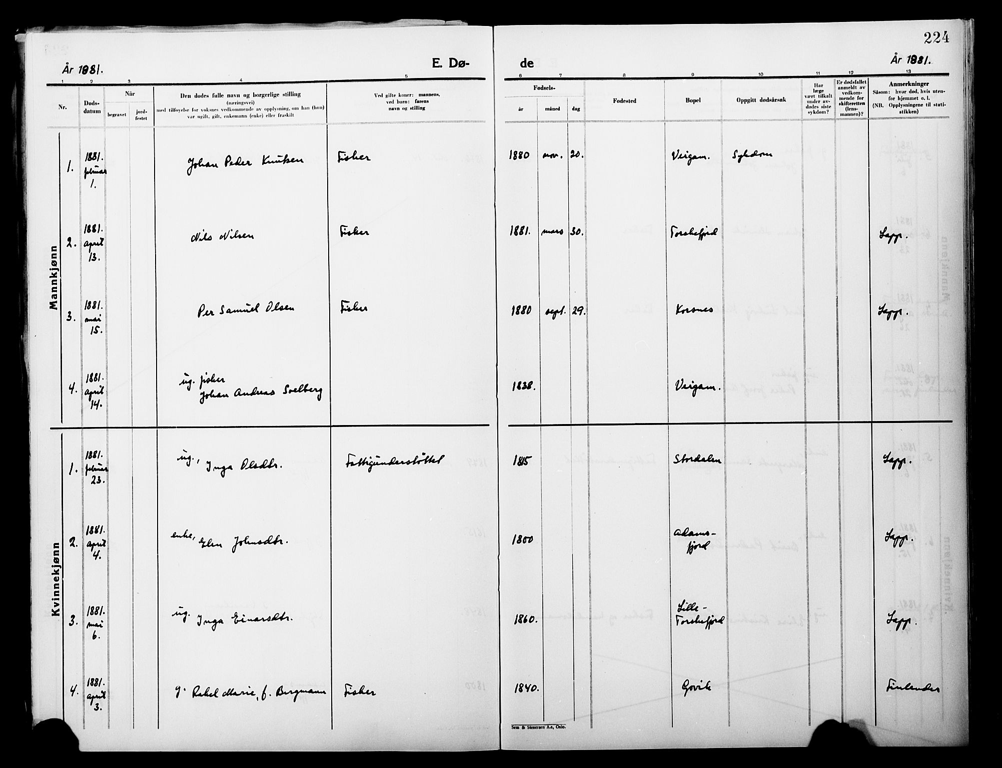 Lebesby sokneprestkontor, SATØ/S-1353/H/Ha/L0004kirke: Parish register (official) no. 4, 1870-1902, p. 224