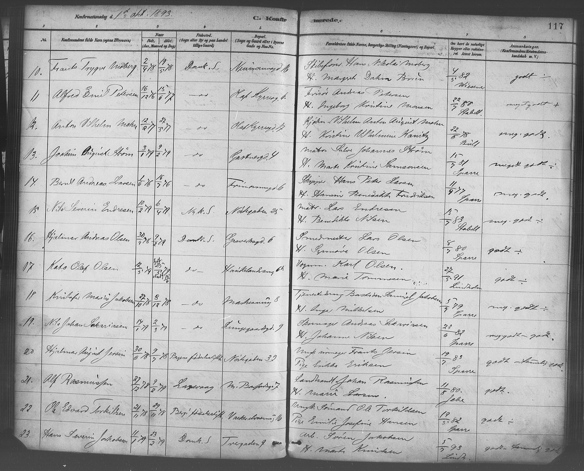 Domkirken sokneprestembete, SAB/A-74801/H/Haa/L0030: Parish register (official) no. C 5, 1880-1898, p. 117