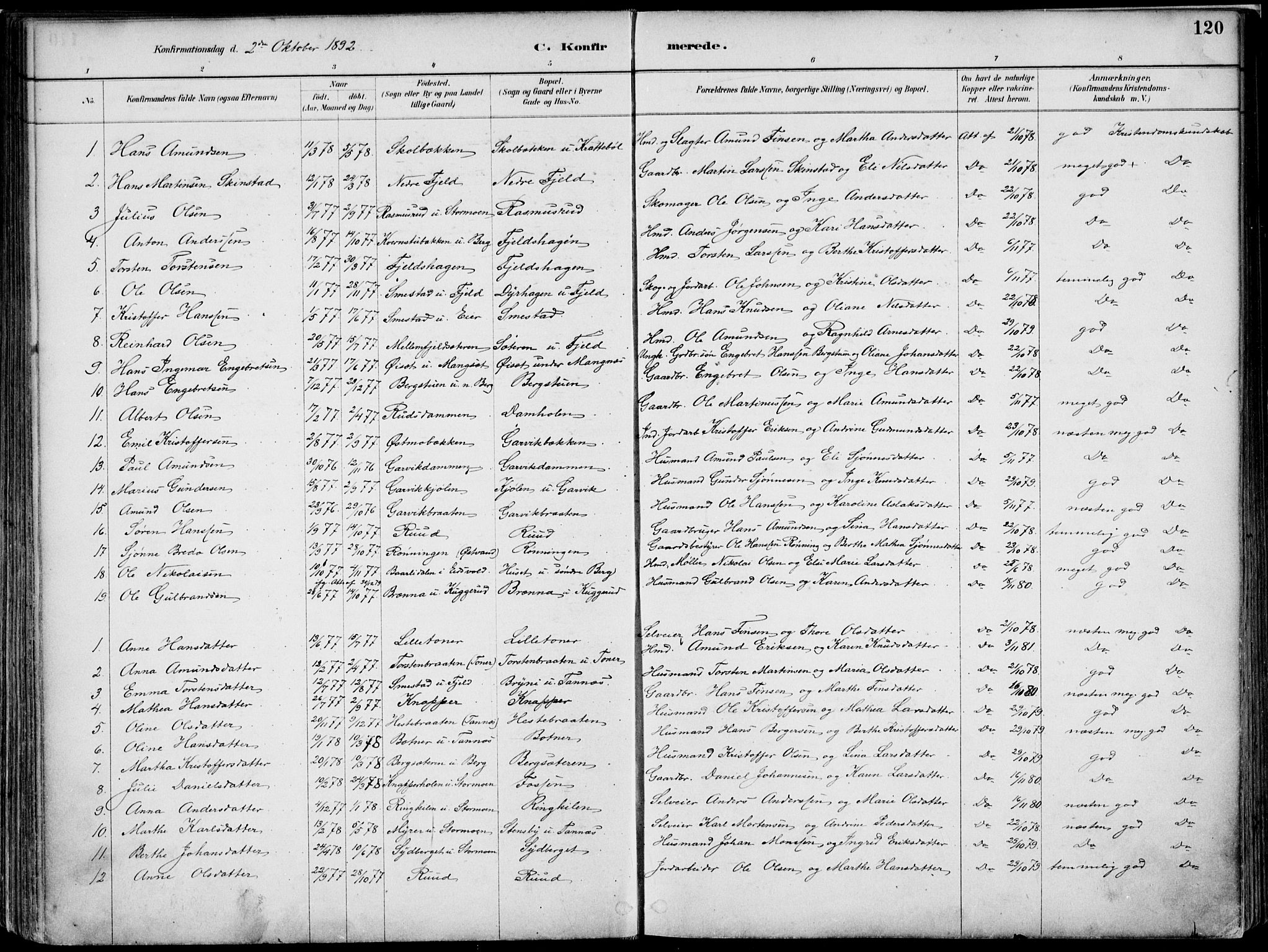 Nord-Odal prestekontor, AV/SAH-PREST-032/H/Ha/Haa/L0008: Parish register (official) no. 8, 1886-1901, p. 120