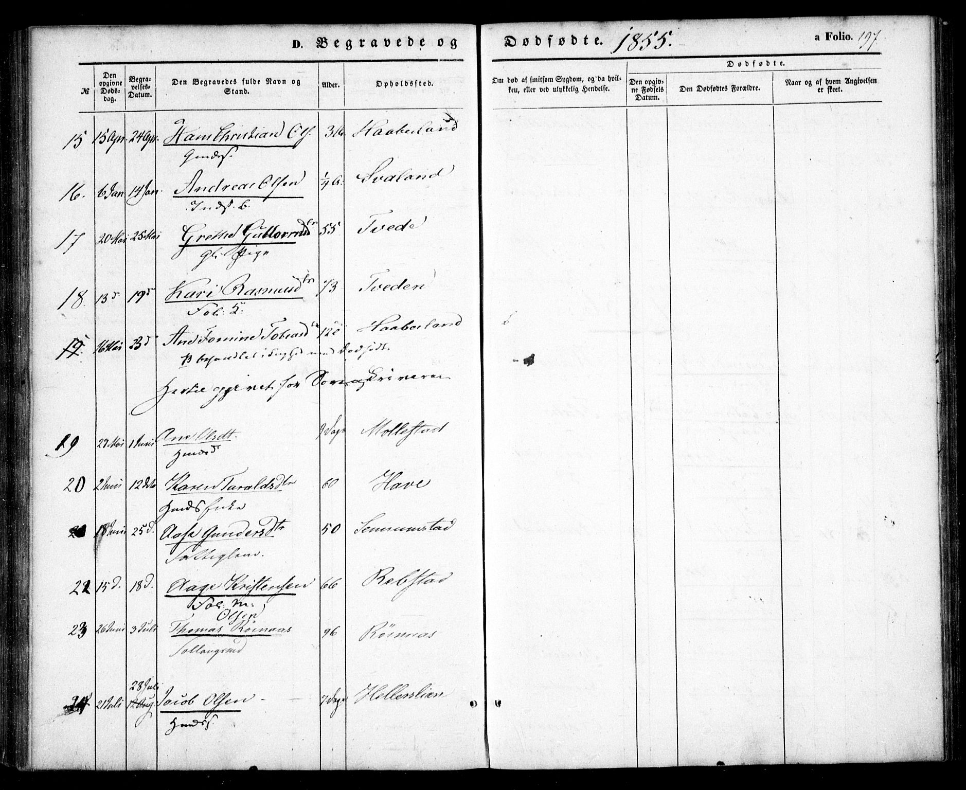 Birkenes sokneprestkontor, AV/SAK-1111-0004/F/Fa/L0003: Parish register (official) no. A 3, 1850-1866, p. 197