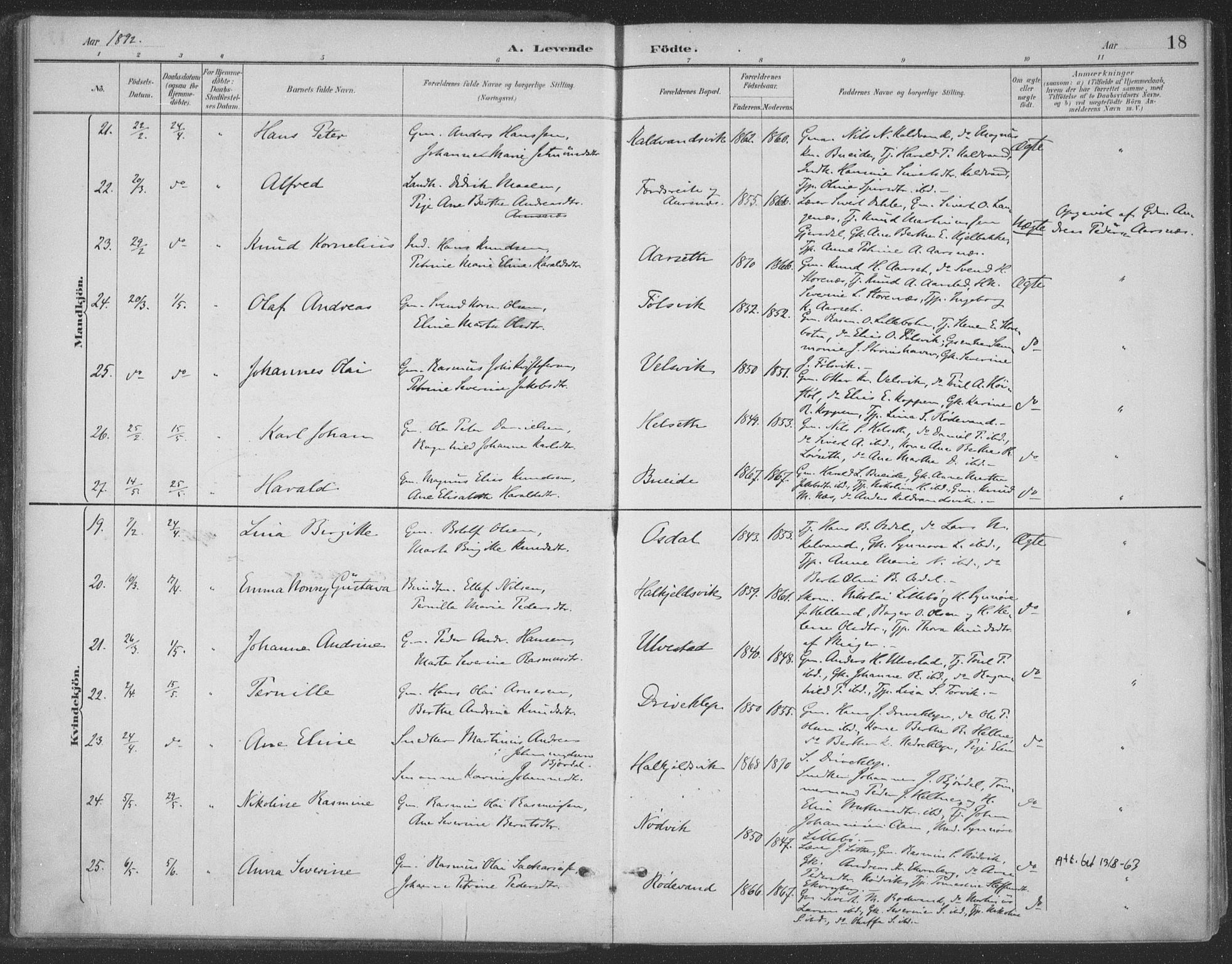 Ministerialprotokoller, klokkerbøker og fødselsregistre - Møre og Romsdal, AV/SAT-A-1454/511/L0142: Parish register (official) no. 511A09, 1891-1905, p. 18