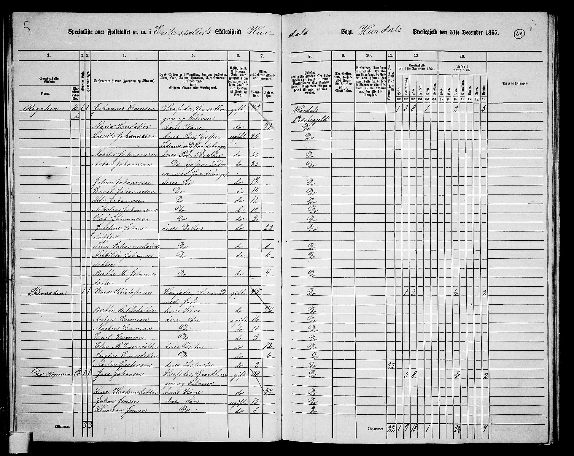 RA, 1865 census for Hurdal, 1865, p. 100