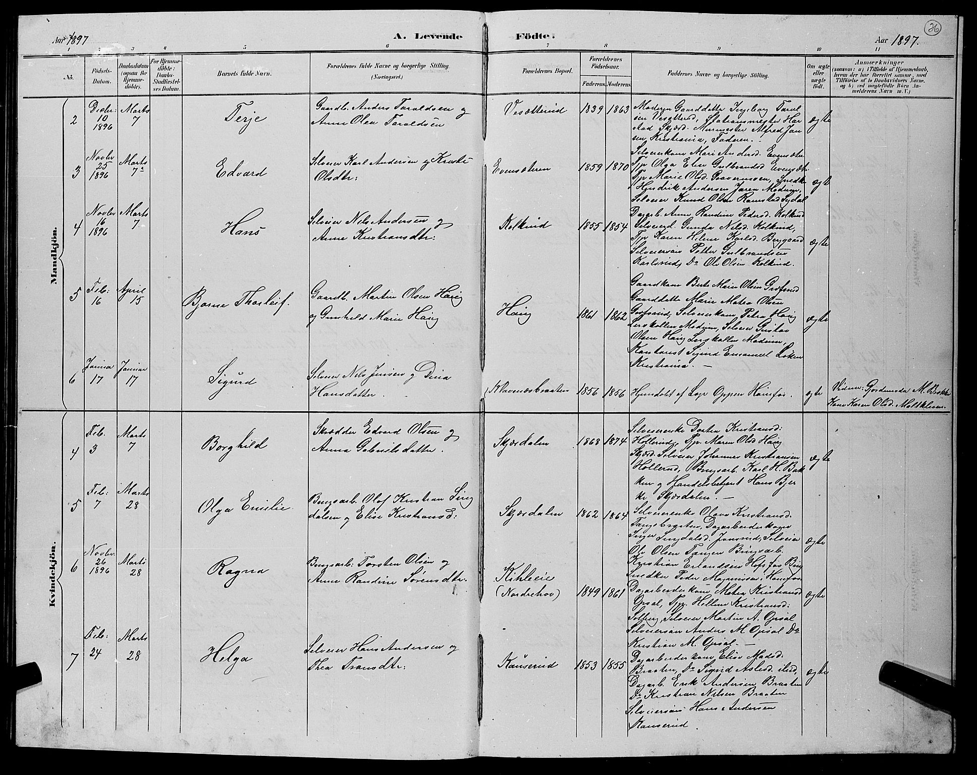 Hole kirkebøker, AV/SAKO-A-228/G/Gb/L0003: Parish register (copy) no. II 3, 1890-1901, p. 36