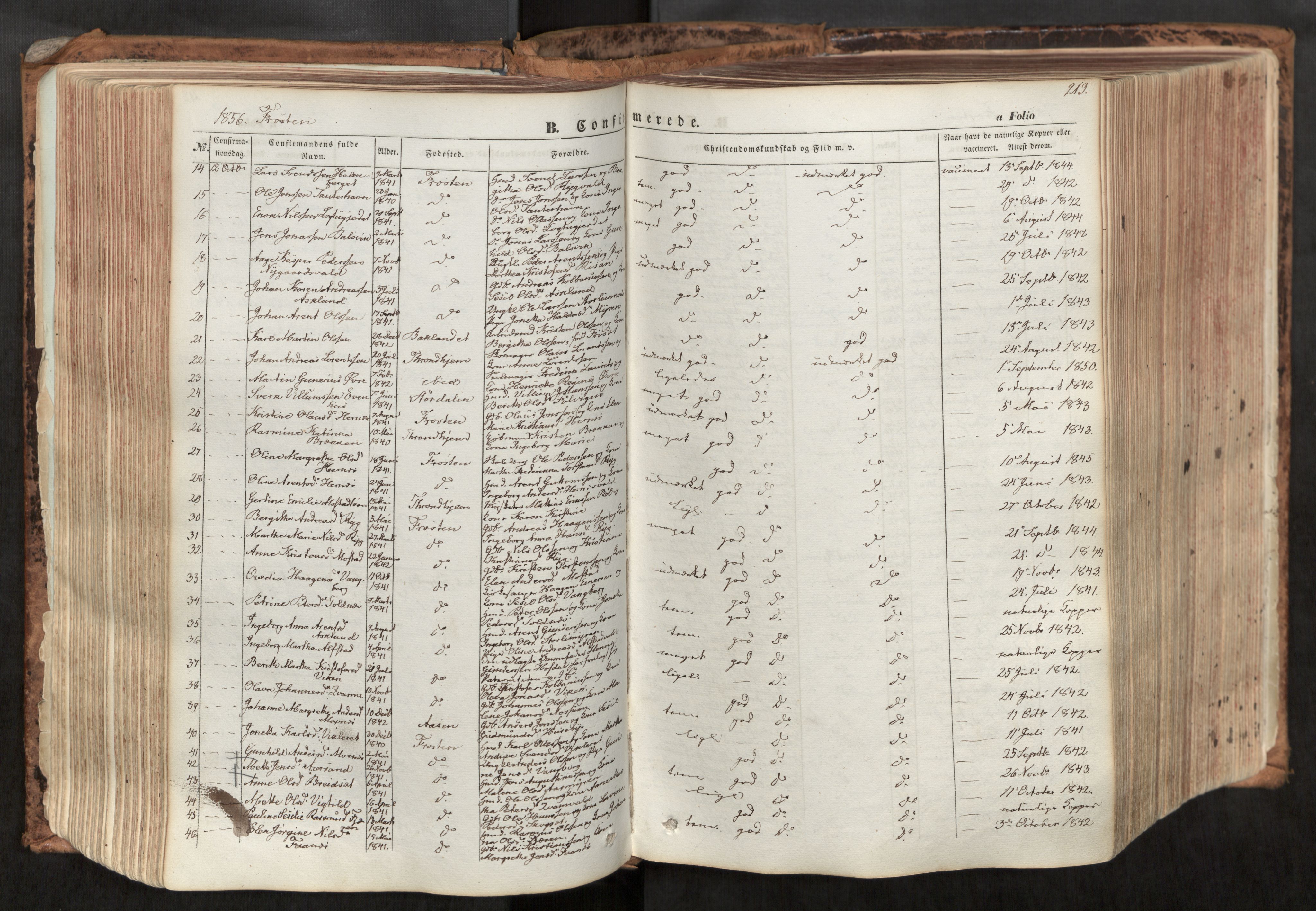Ministerialprotokoller, klokkerbøker og fødselsregistre - Nord-Trøndelag, SAT/A-1458/713/L0116: Parish register (official) no. 713A07, 1850-1877, p. 213