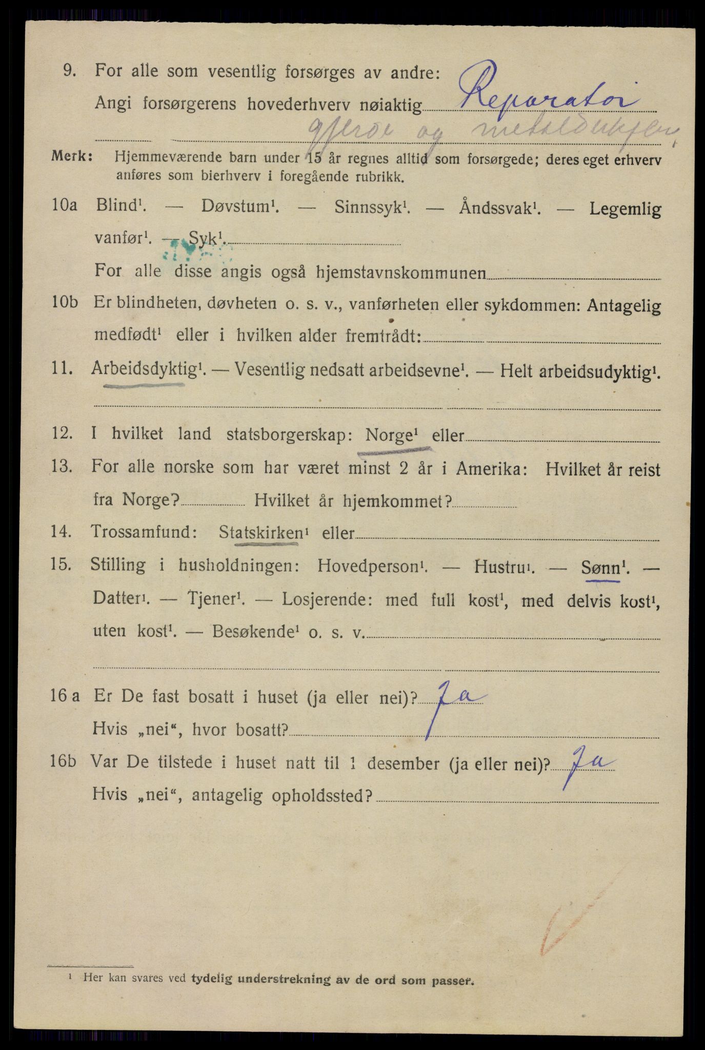 SAO, 1920 census for Aker, 1920, p. 101353