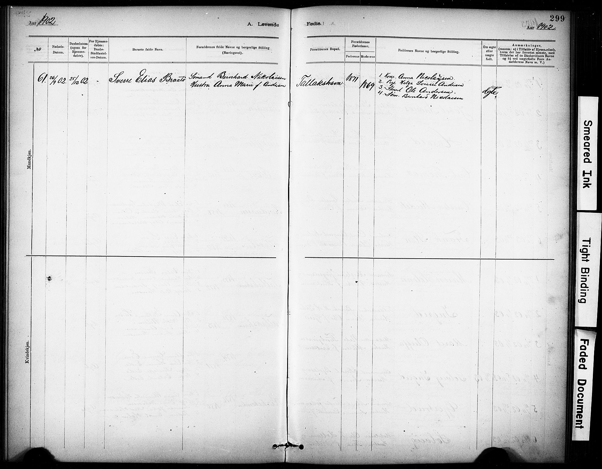 Kragerø kirkebøker, SAKO/A-278/G/Ga/L0007: Parish register (copy) no. 7, 1881-1927, p. 299