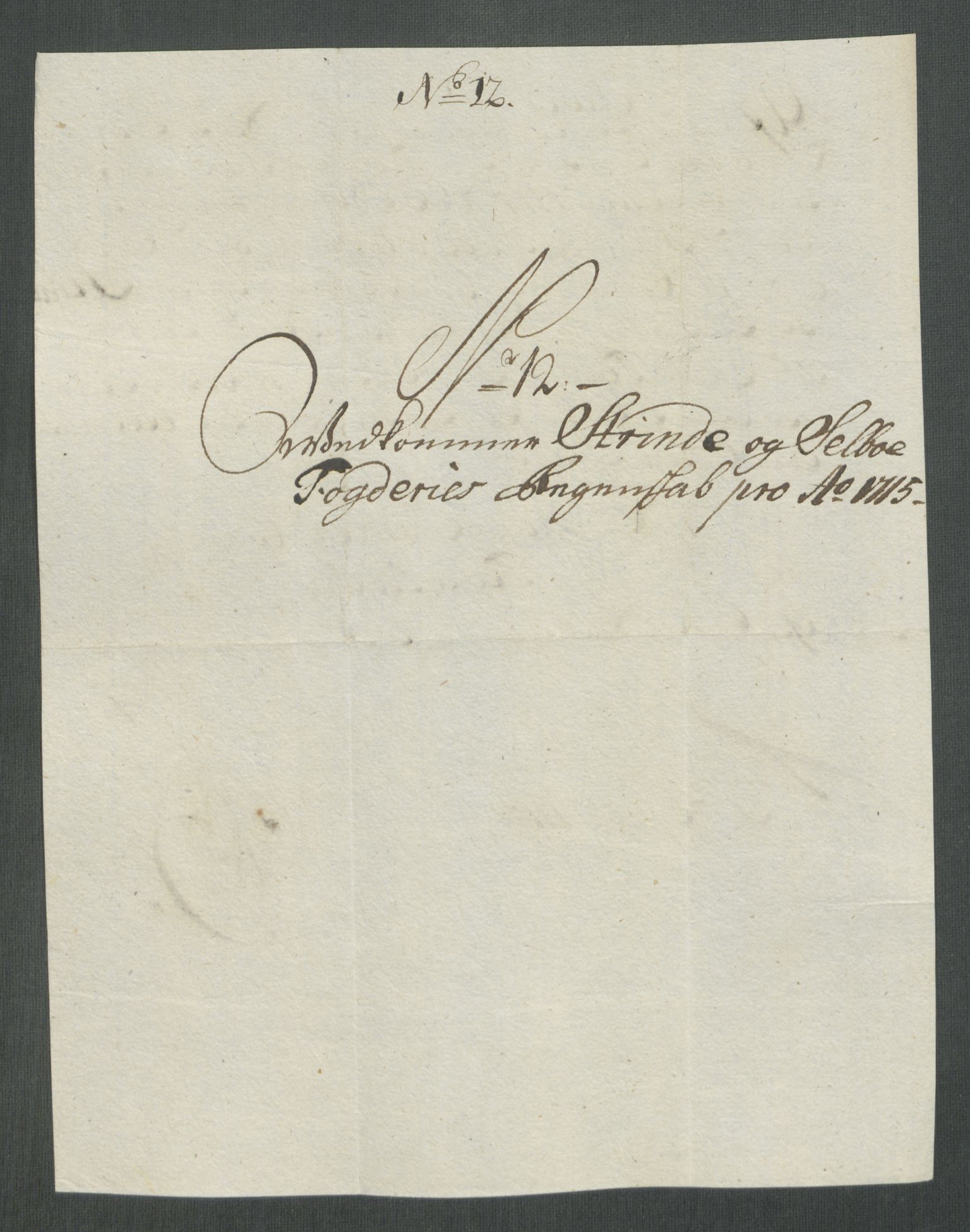 Rentekammeret inntil 1814, Reviderte regnskaper, Fogderegnskap, AV/RA-EA-4092/R61/L4115: Fogderegnskap Strinda og Selbu, 1715-1716, p. 120