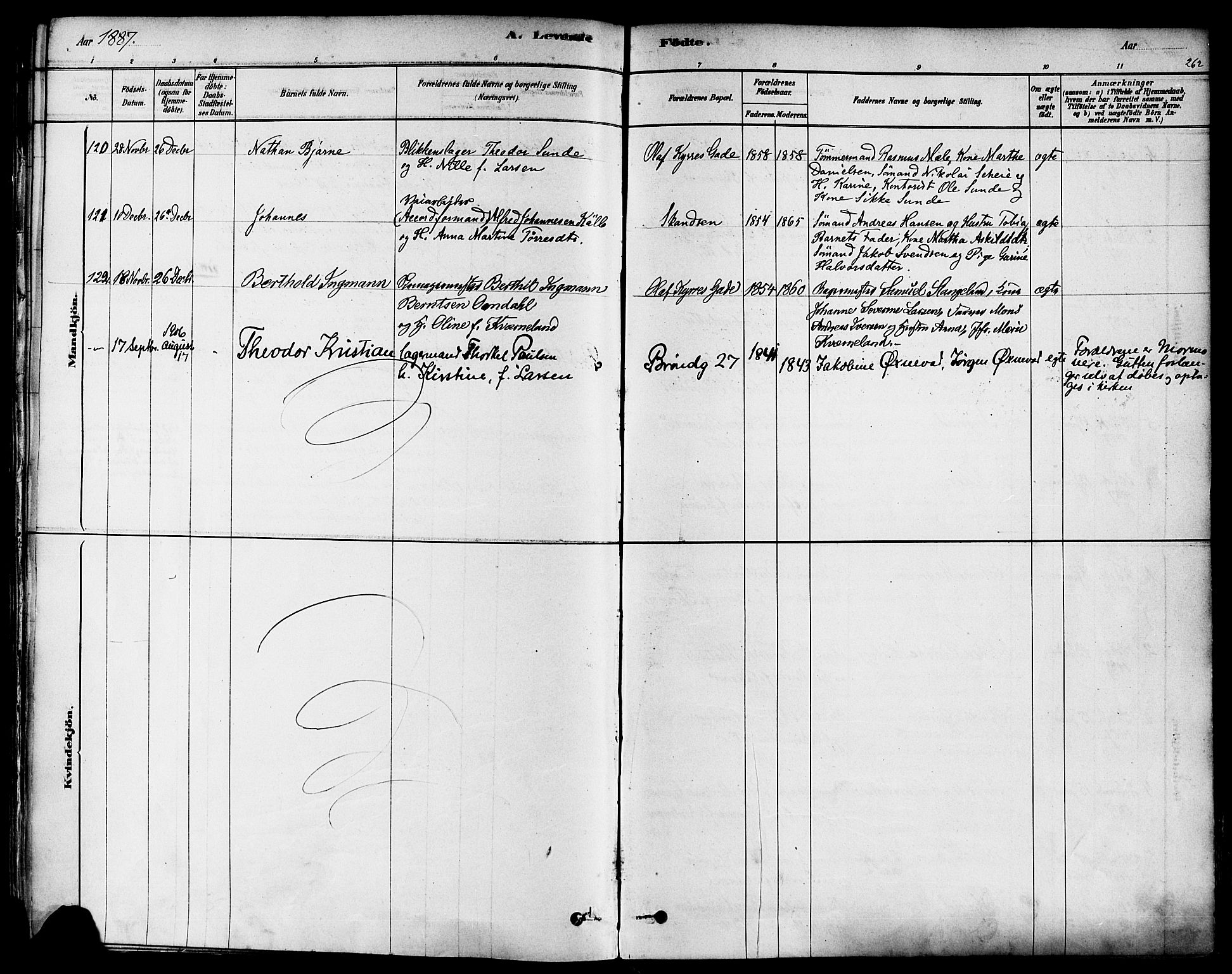 Domkirken sokneprestkontor, AV/SAST-A-101812/001/30/30BA/L0026: Parish register (official) no. A 25, 1878-1889, p. 262