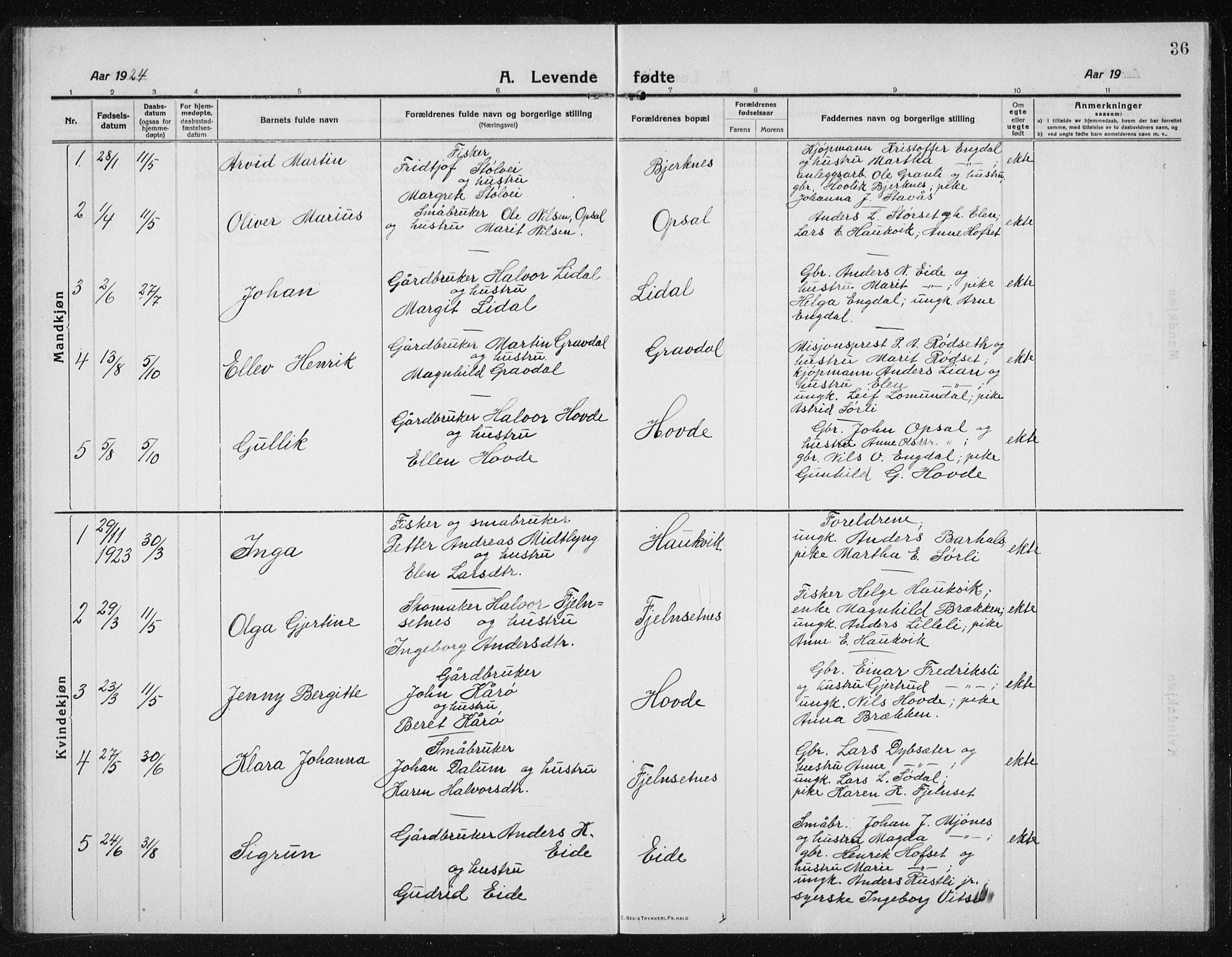 Ministerialprotokoller, klokkerbøker og fødselsregistre - Sør-Trøndelag, AV/SAT-A-1456/631/L0515: Parish register (copy) no. 631C03, 1913-1939, p. 36