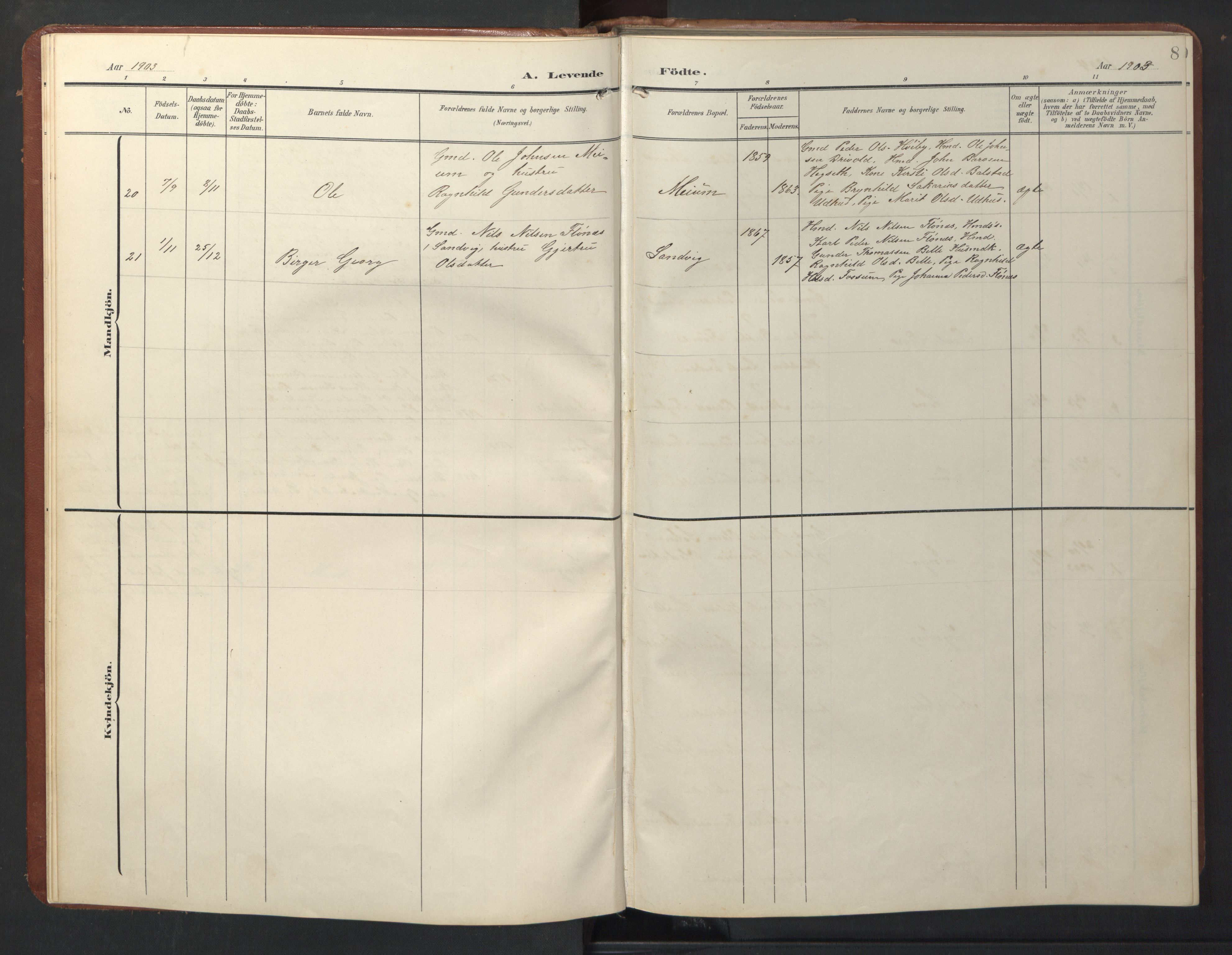 Ministerialprotokoller, klokkerbøker og fødselsregistre - Sør-Trøndelag, SAT/A-1456/696/L1161: Parish register (copy) no. 696C01, 1902-1950, p. 8