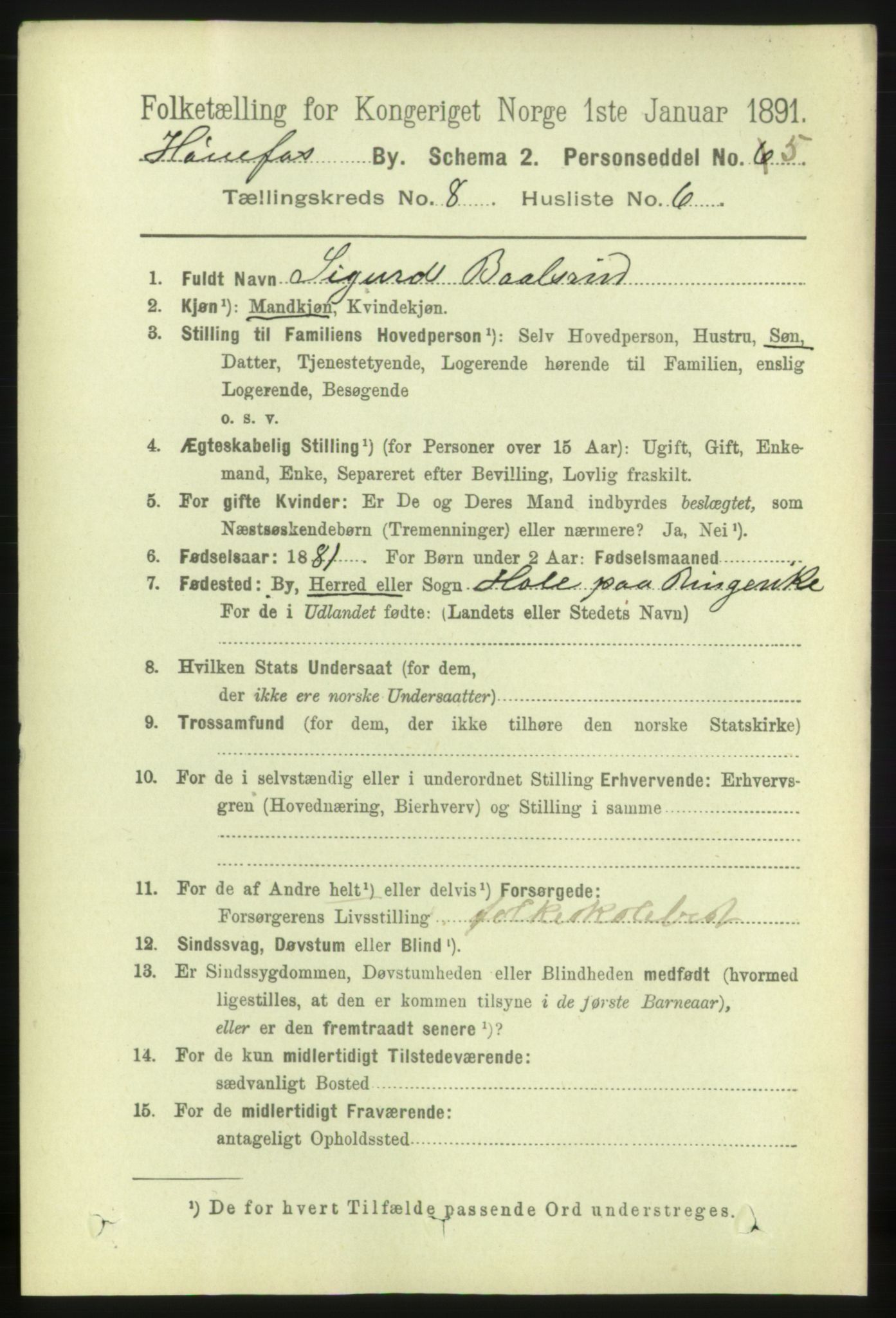 RA, 1891 census for 0601 Hønefoss, 1891, p. 1316