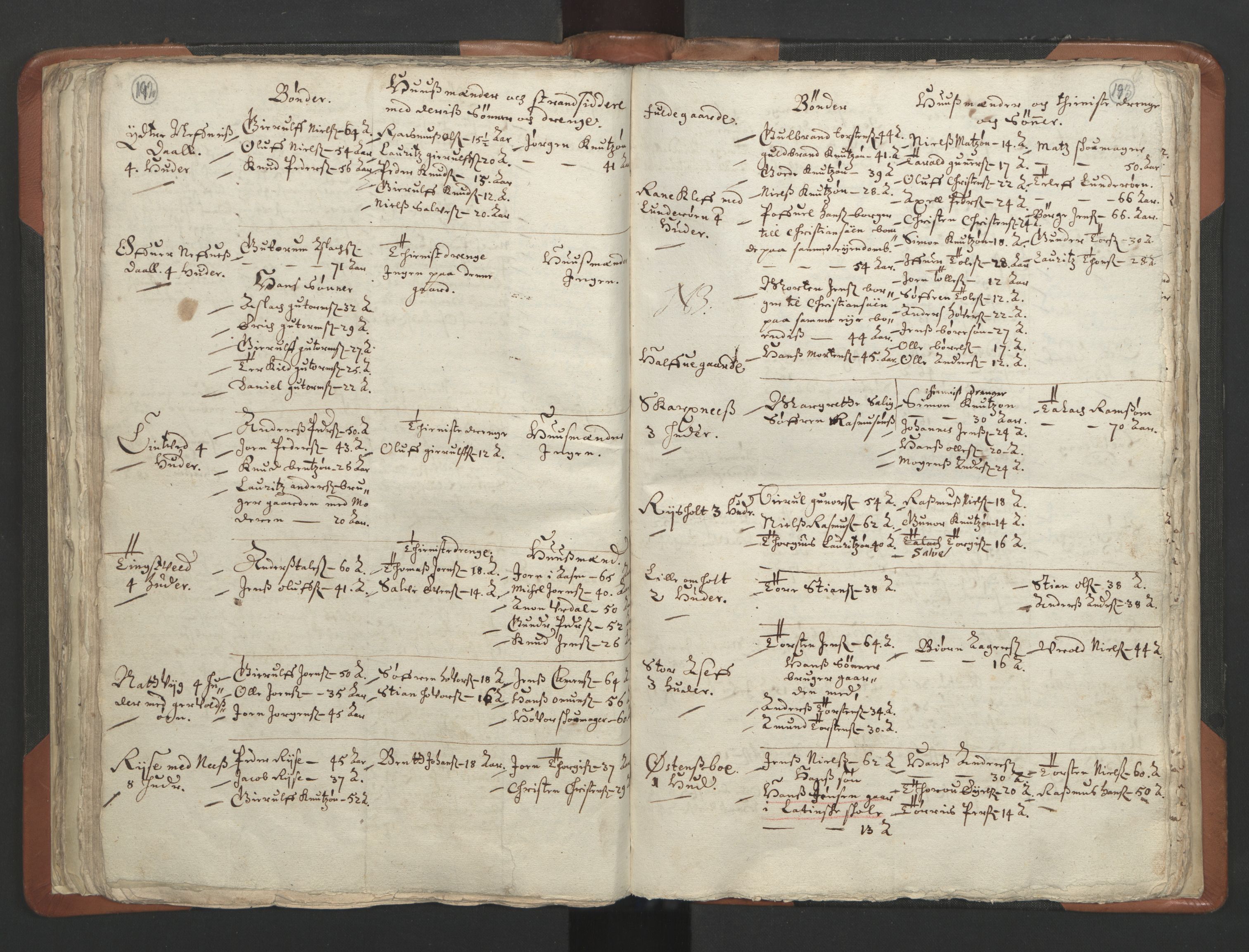 RA, Vicar's Census 1664-1666, no. 13: Nedenes deanery, 1664-1666, p. 192-193