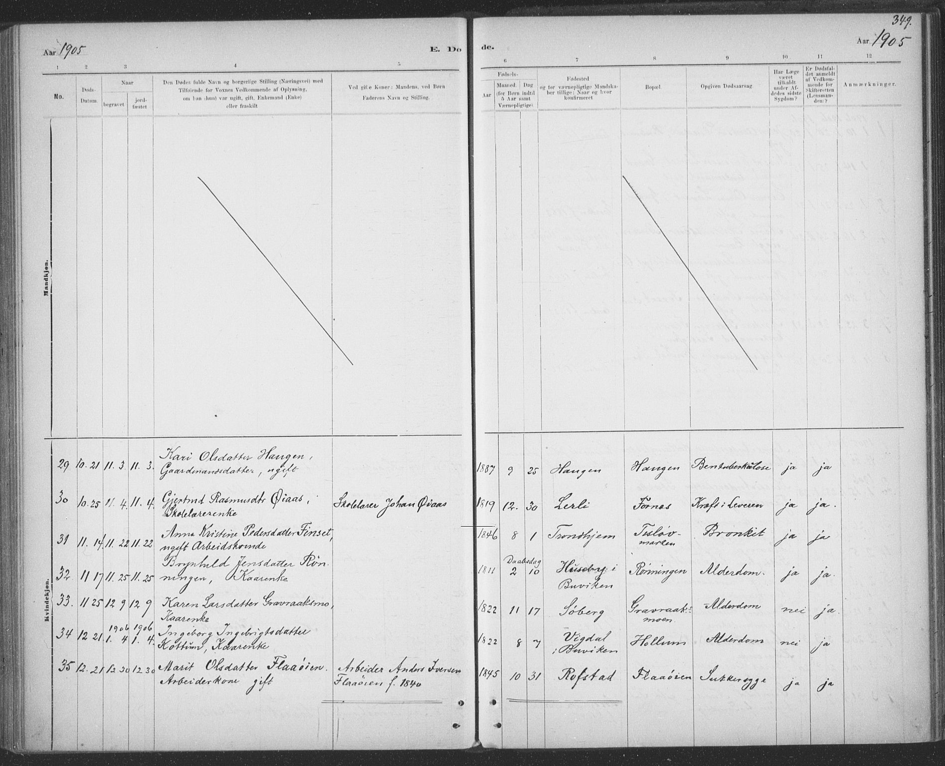 Ministerialprotokoller, klokkerbøker og fødselsregistre - Sør-Trøndelag, AV/SAT-A-1456/691/L1085: Parish register (official) no. 691A17, 1887-1908, p. 349